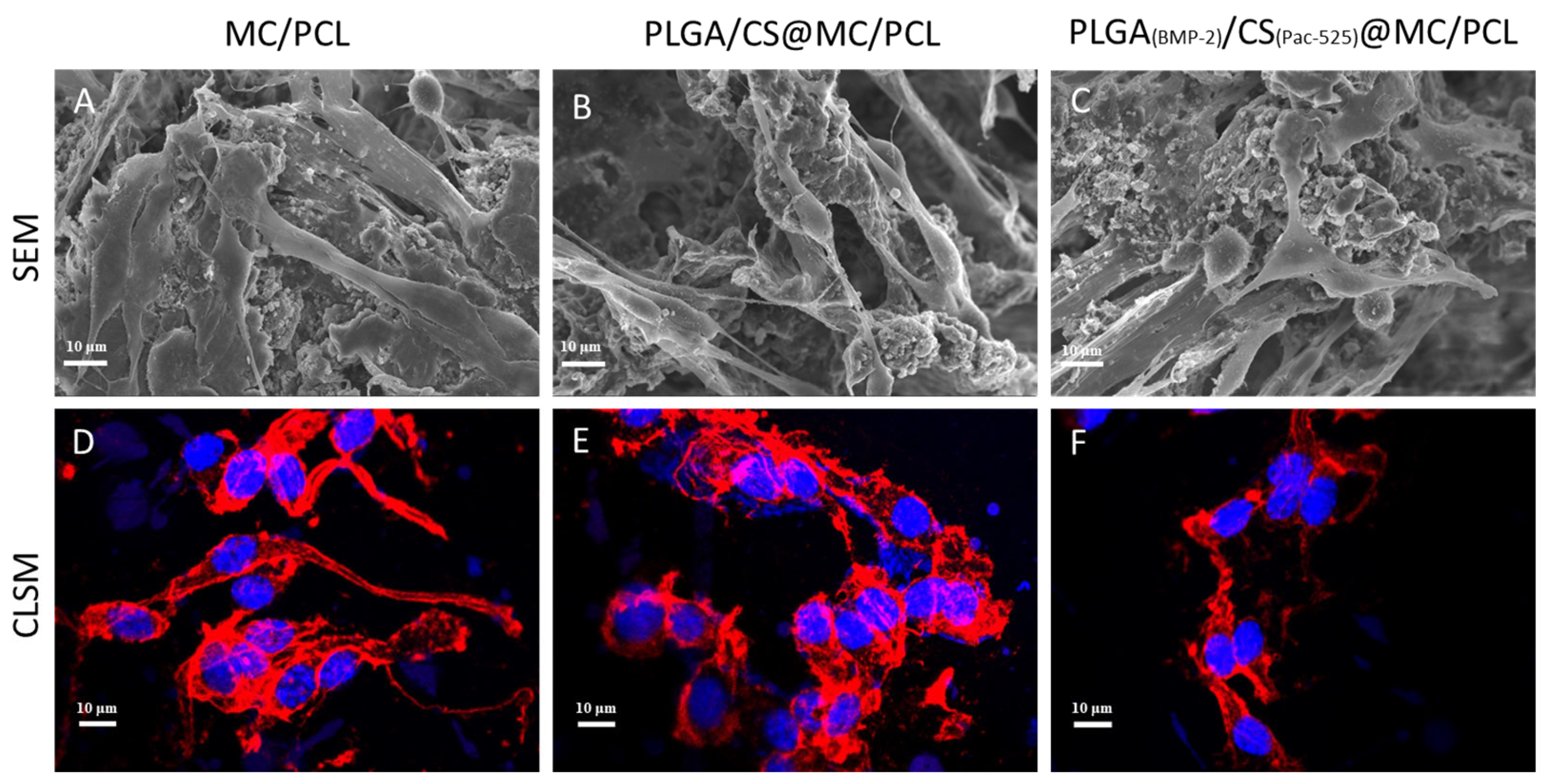 Polymers 16 02394 g004