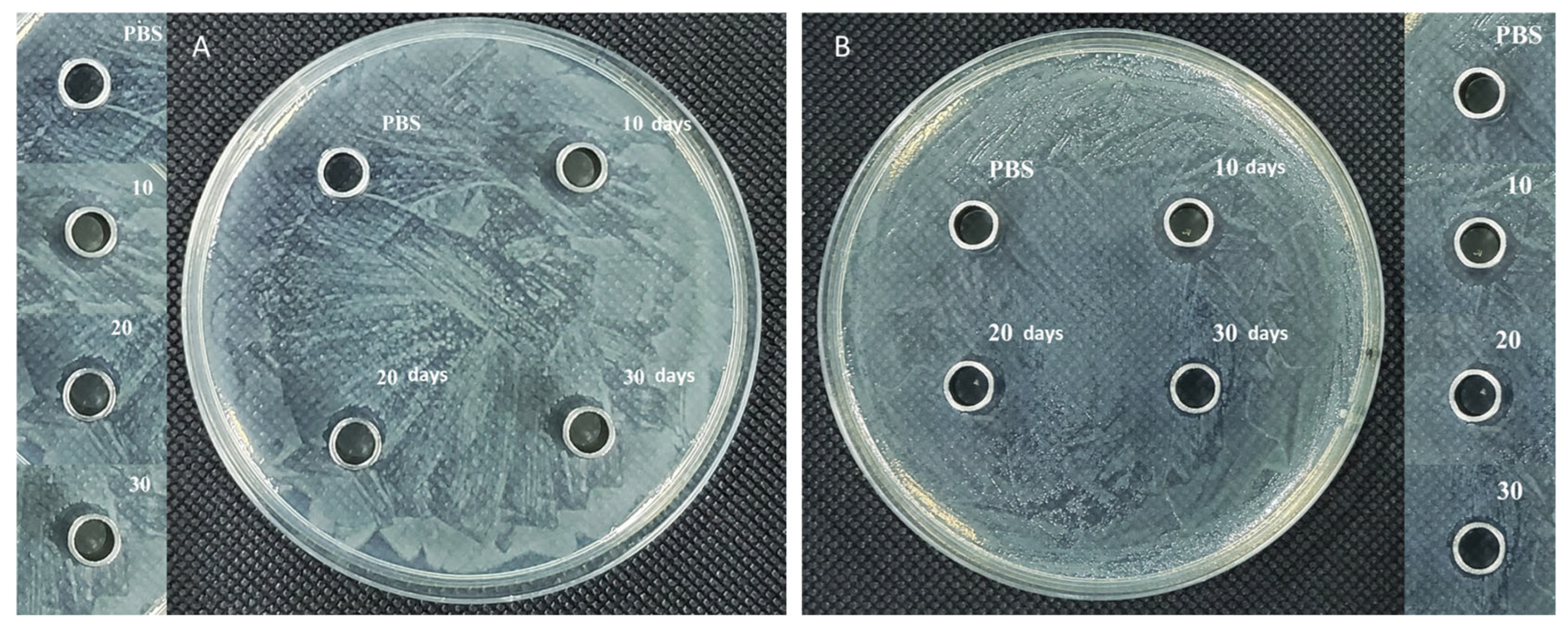 Polymers 16 02394 g006