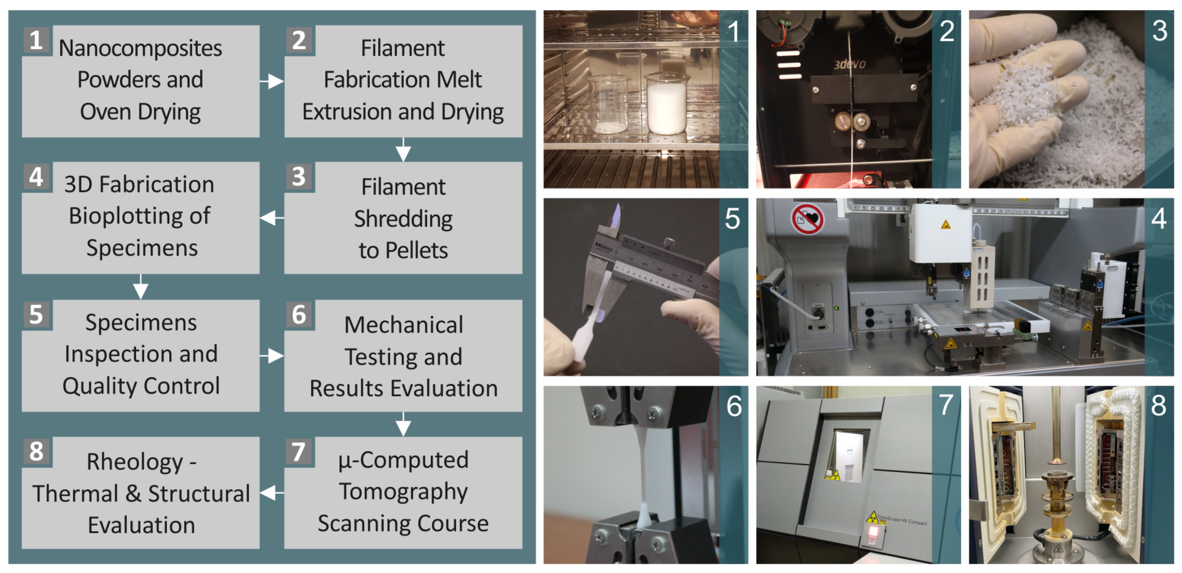 Polymers 16 02400 g001