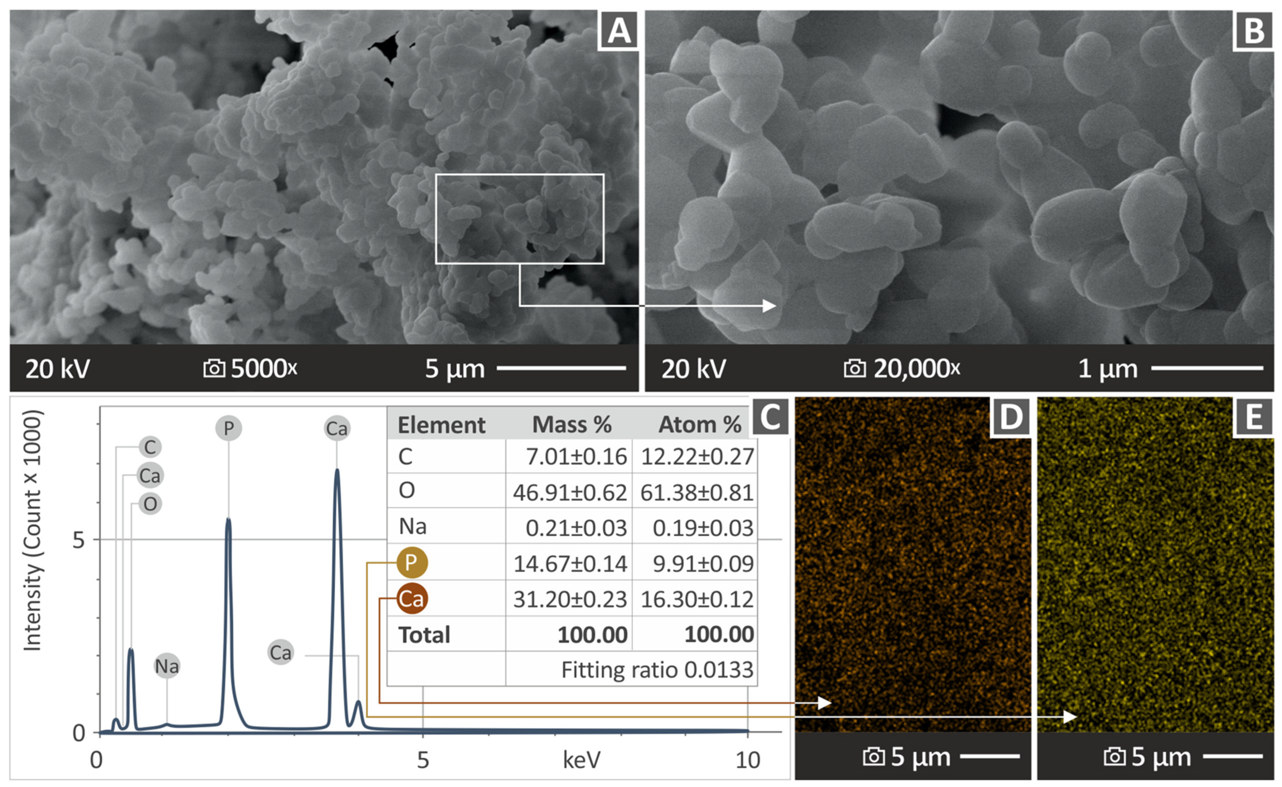 Polymers 16 02400 g002