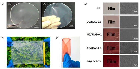 Polymers 16 02402 g002