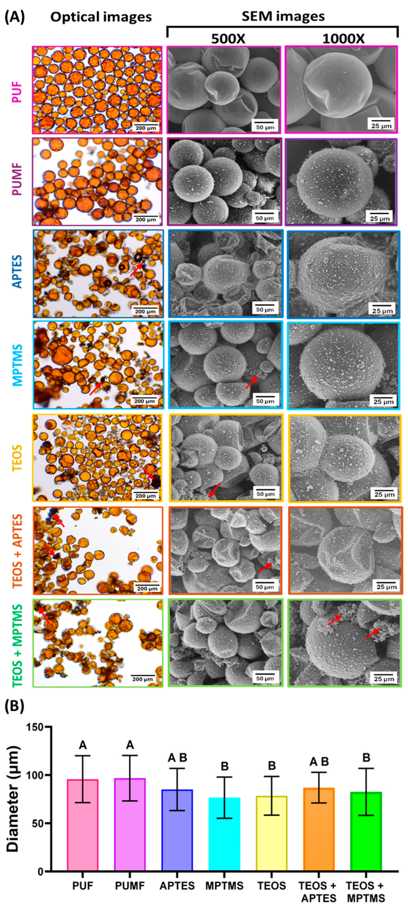 Polymers 16 02410 g001