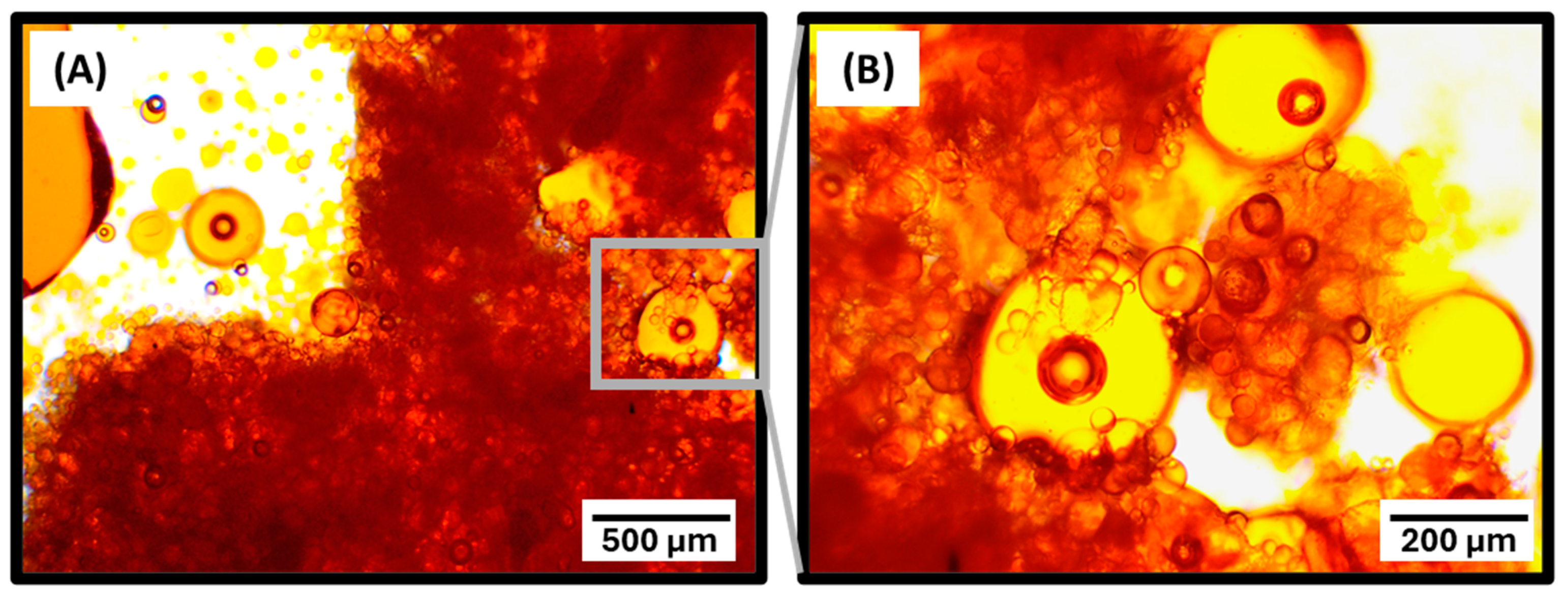 Polymers 16 02410 g002