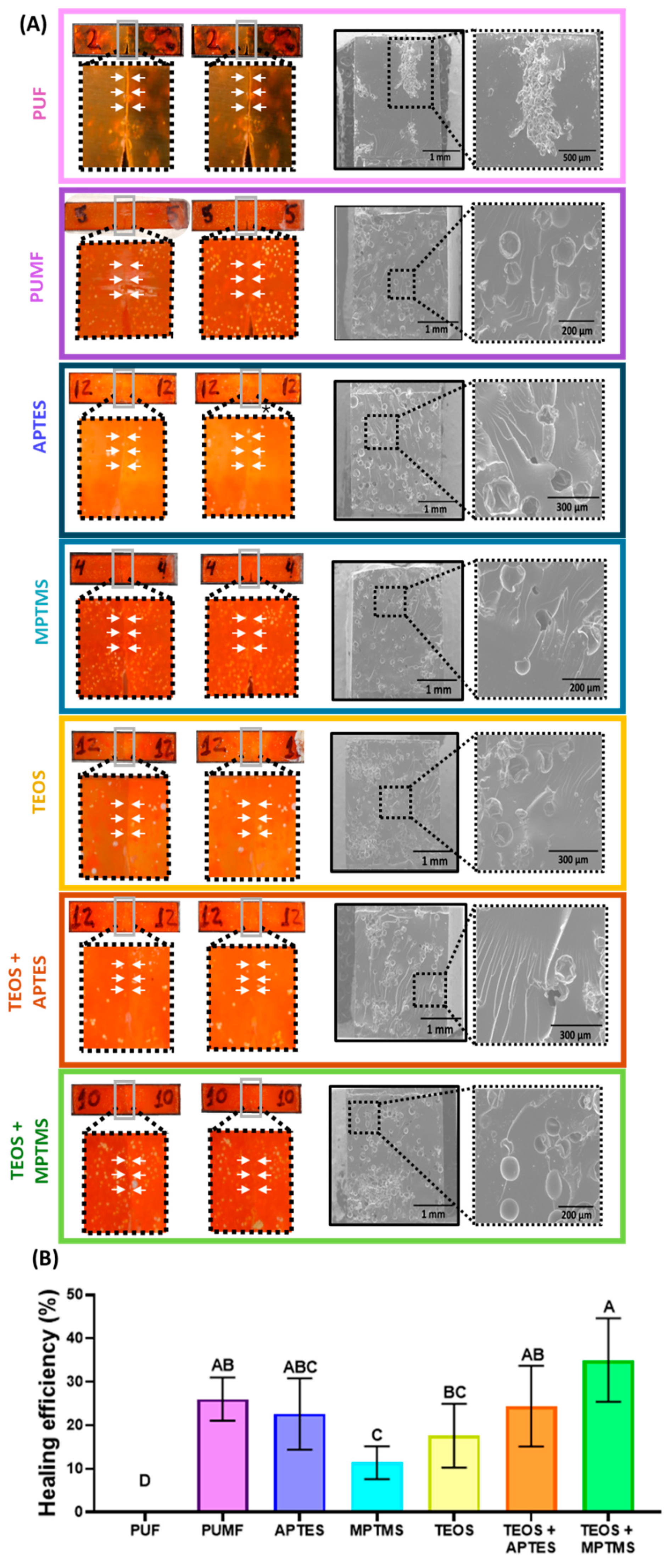 Polymers 16 02410 g008