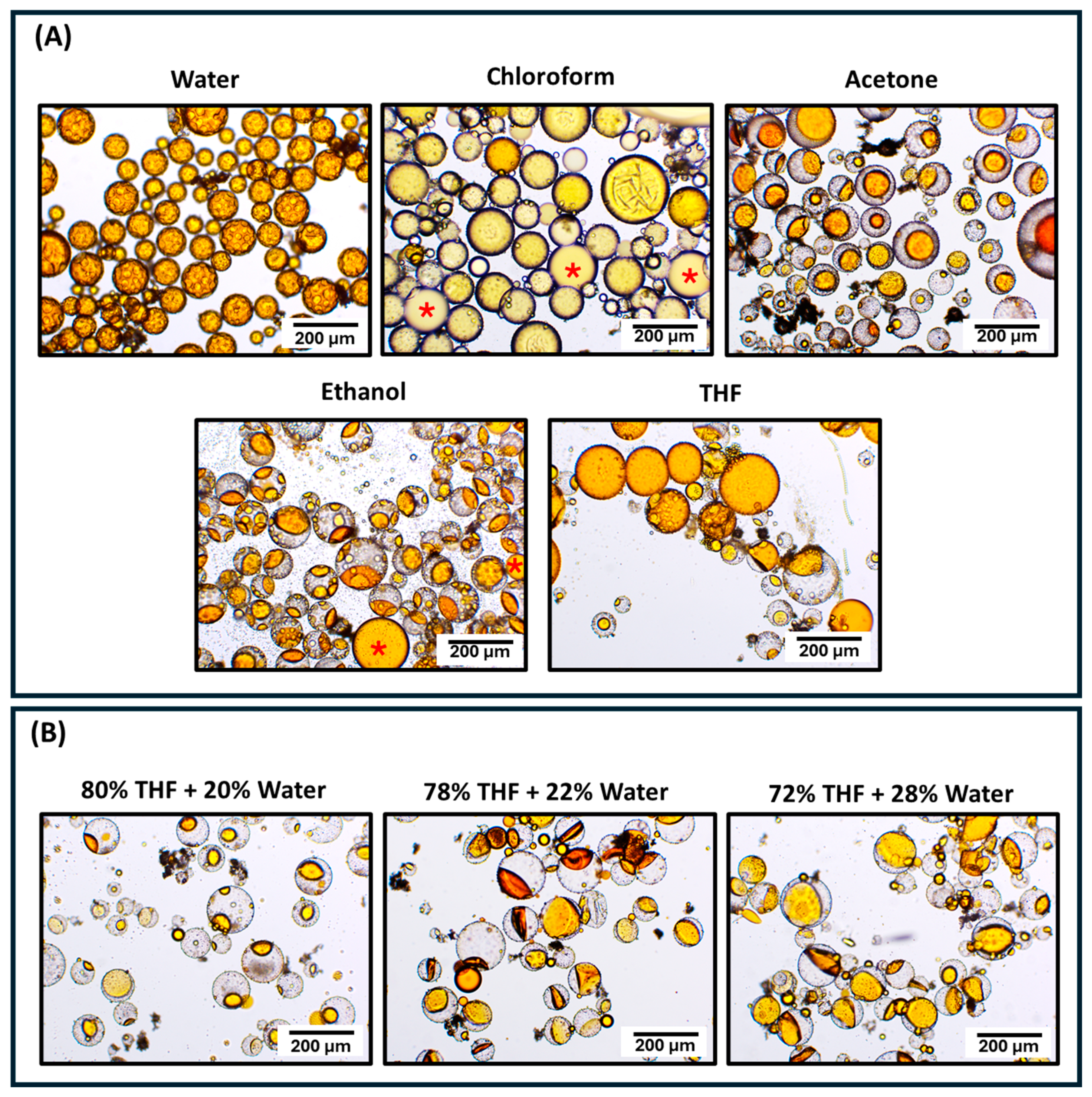 Polymers 16 02410 g009