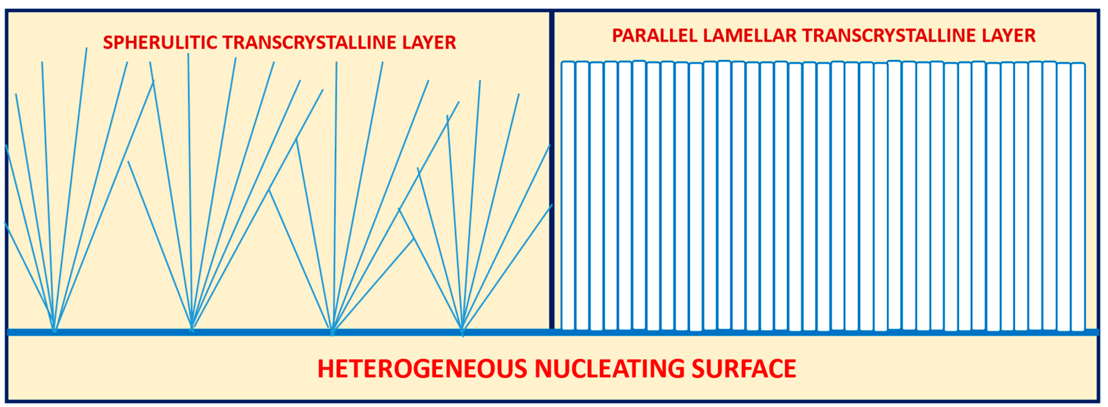 Polymers 16 02411 g001