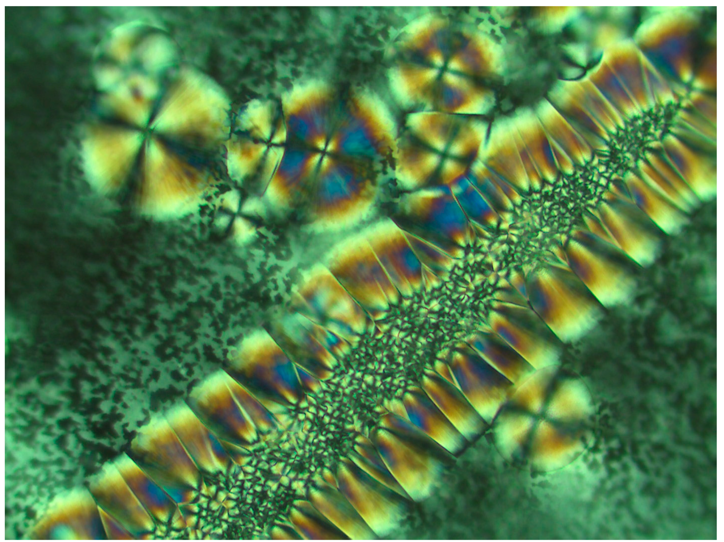 Polymers 16 02411 g002
