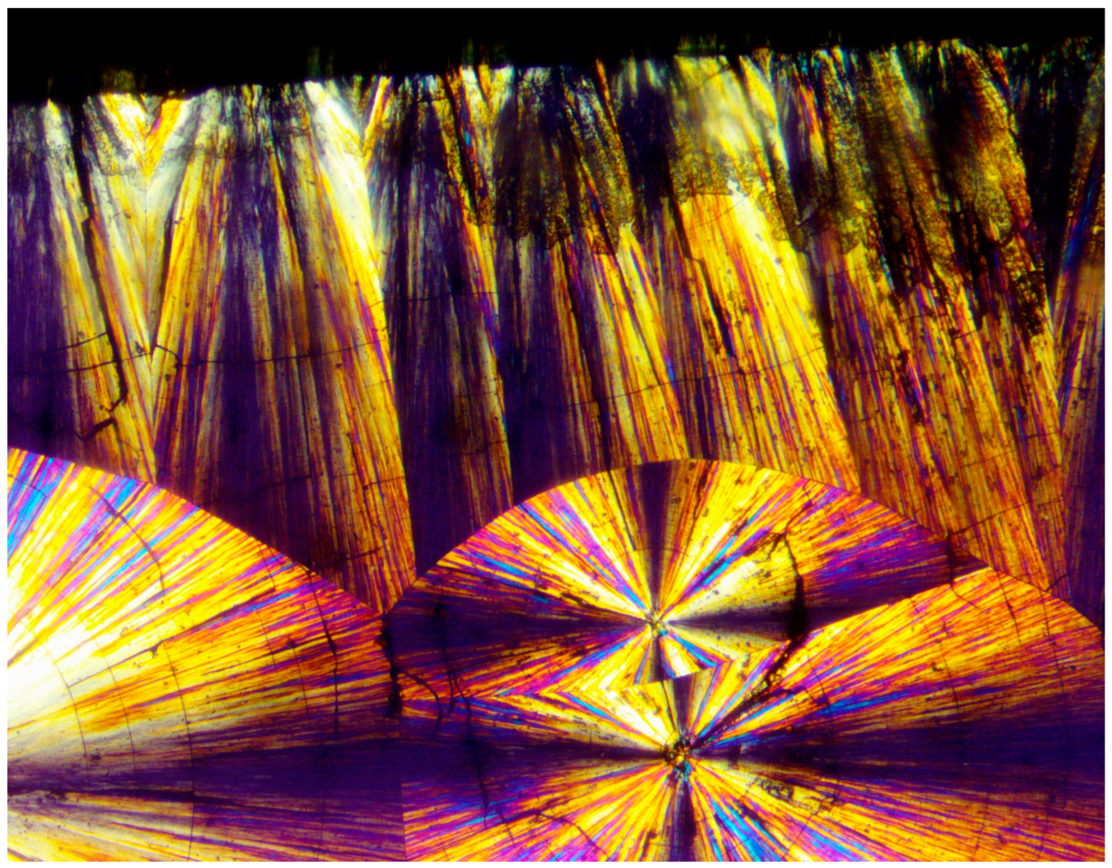 Polymers 16 02411 g004