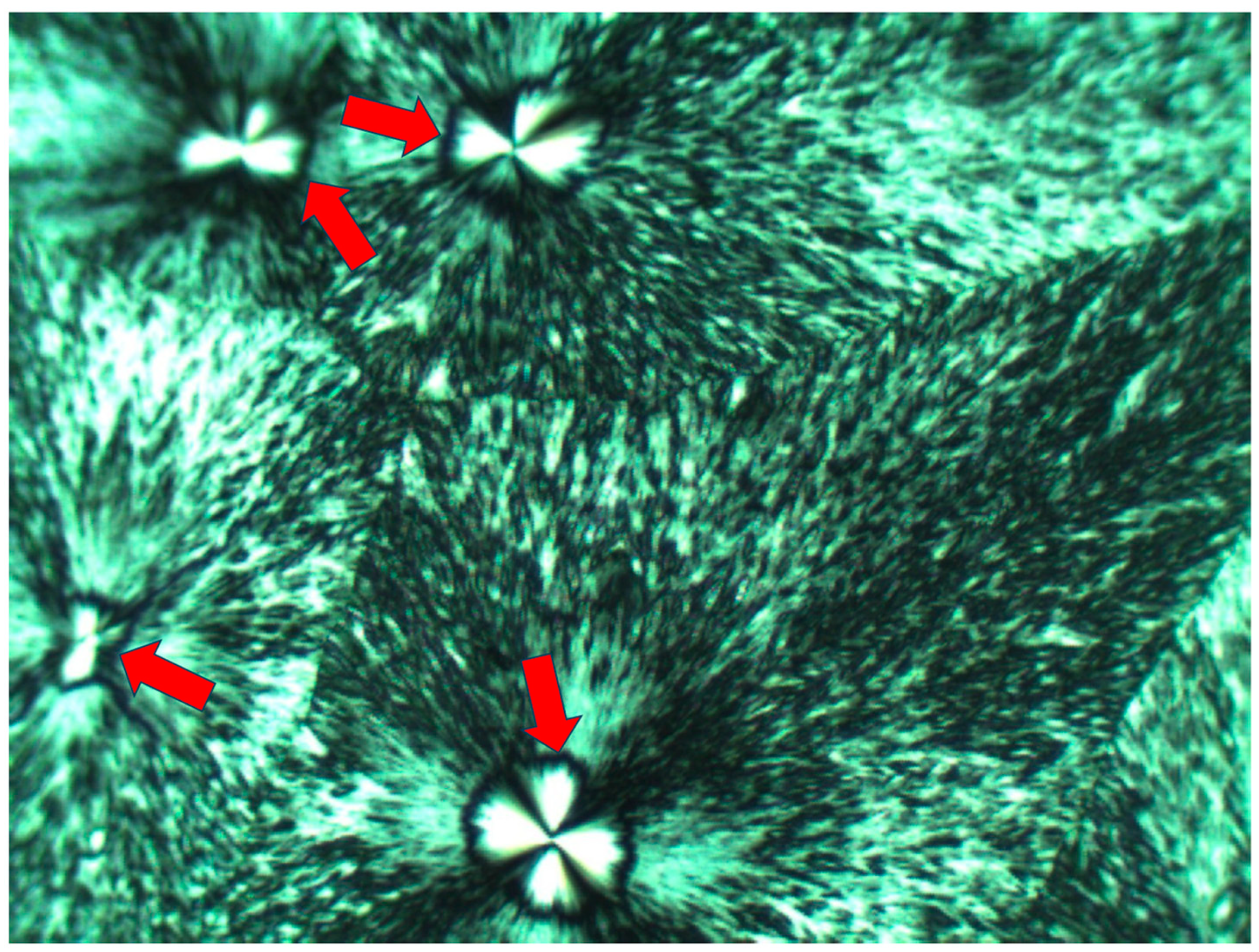 Polymers 16 02411 g007