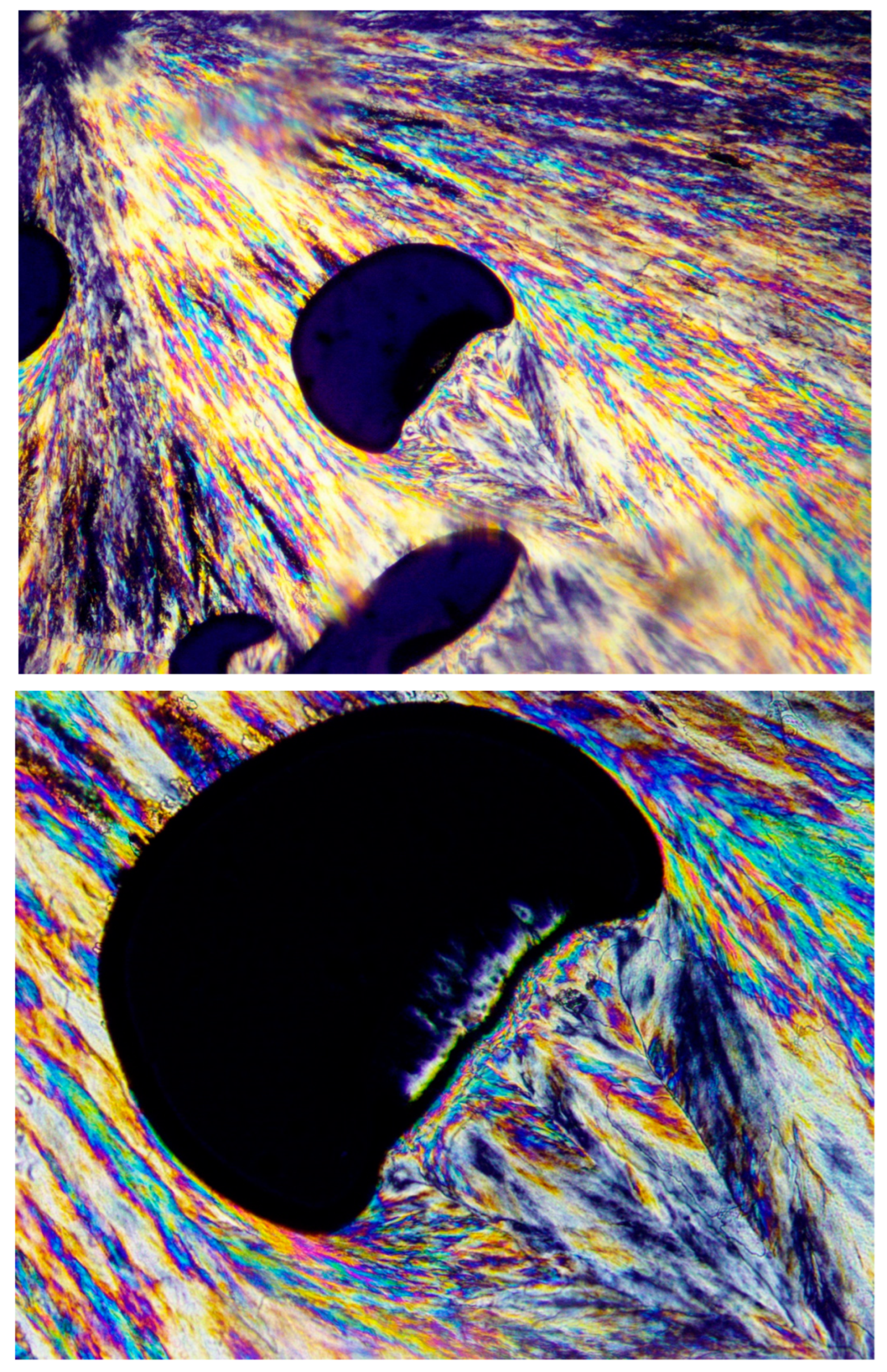 Polymers 16 02411 g014