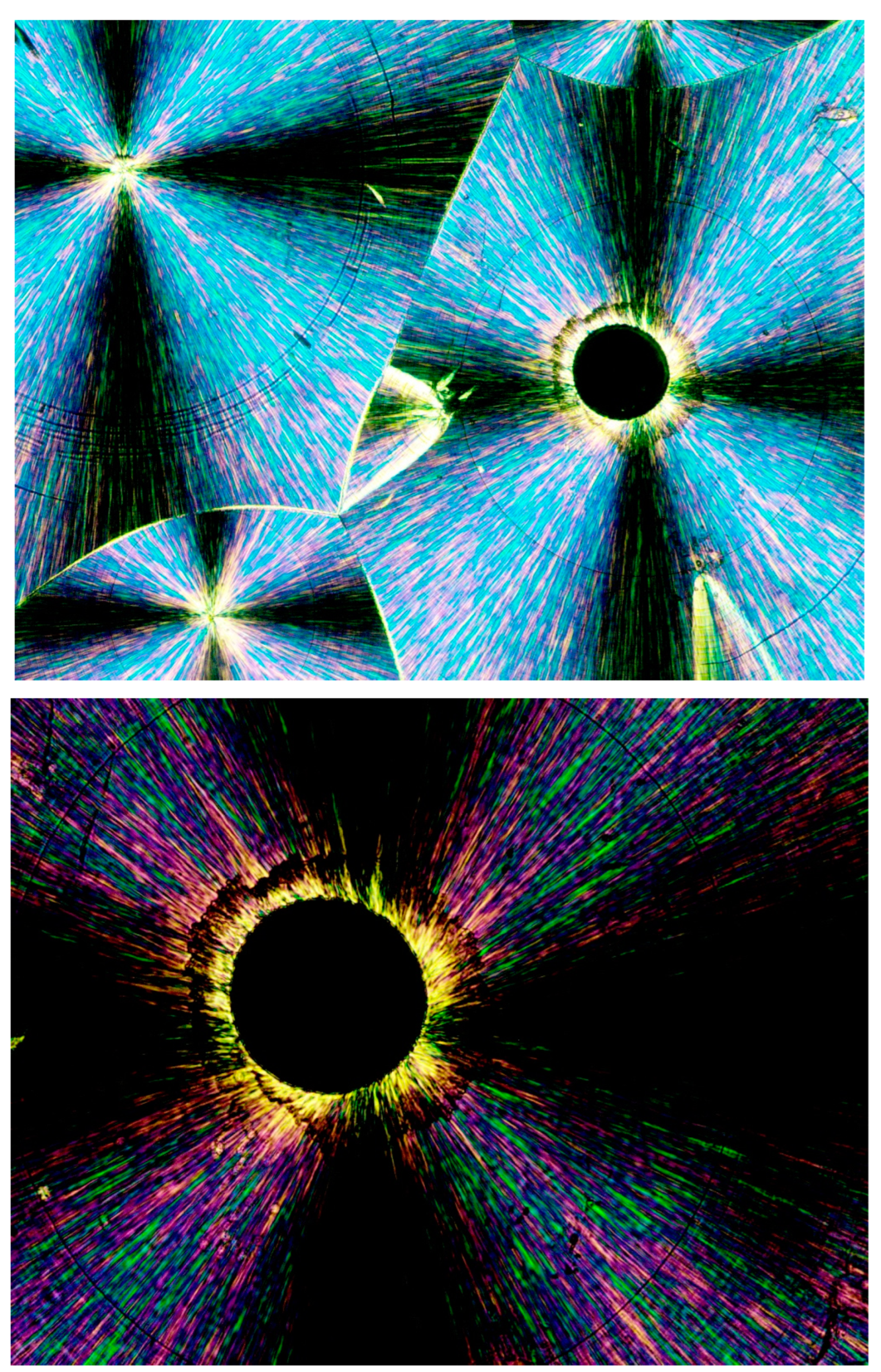 Polymers 16 02411 g015