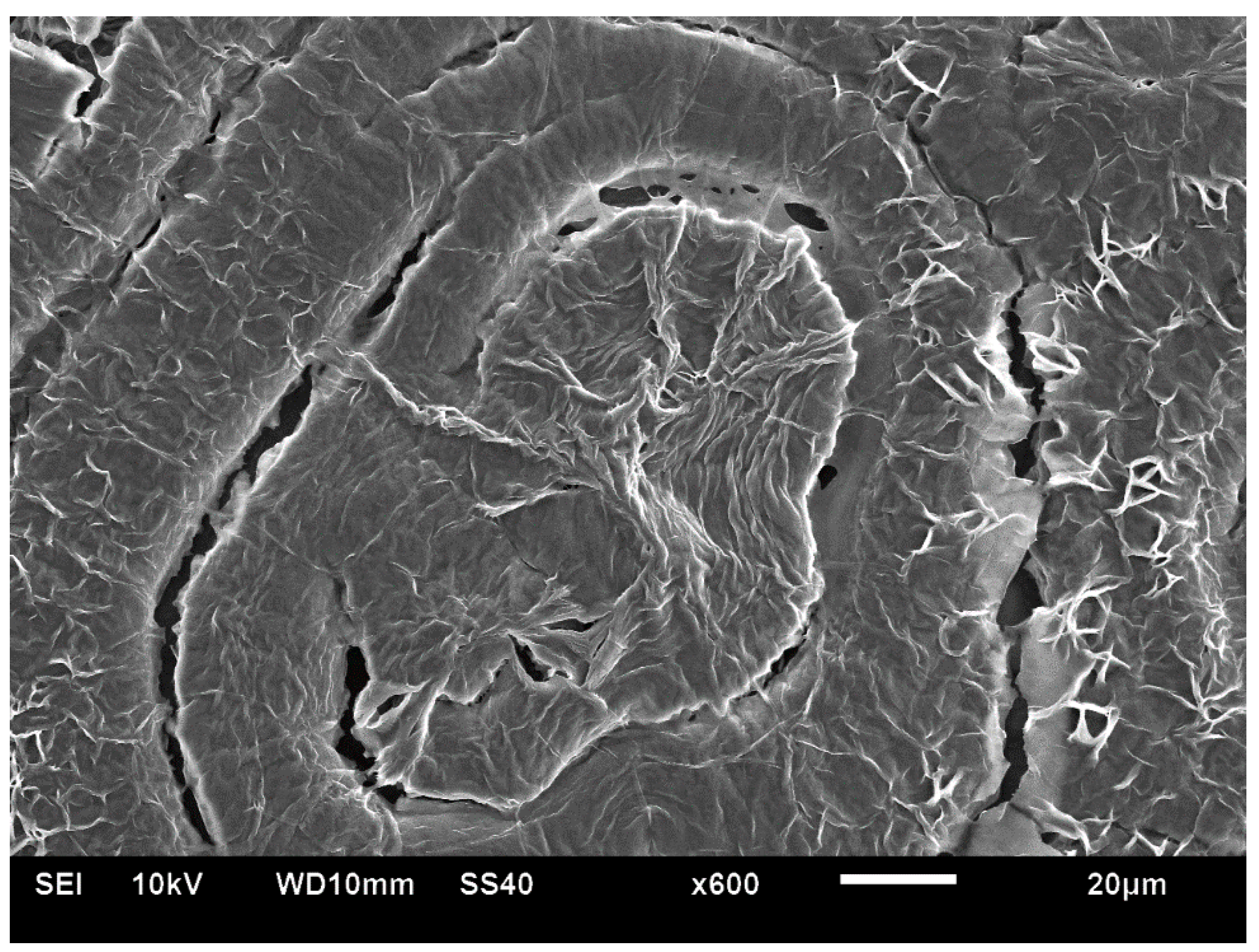 Polymers 16 02411 g017