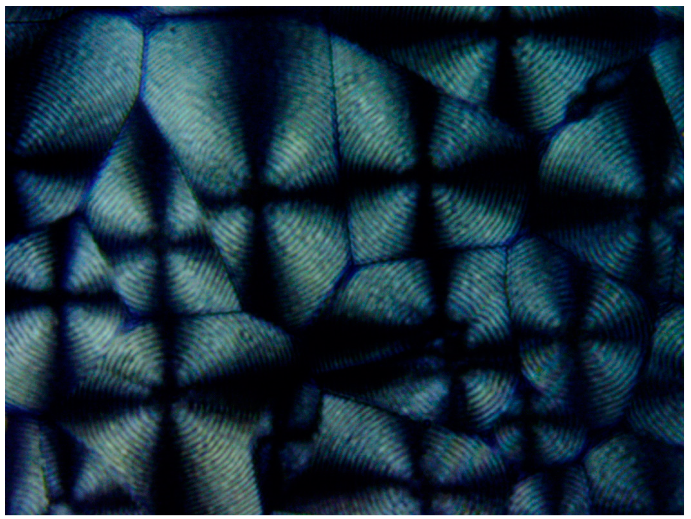 Polymers 16 02411 g020