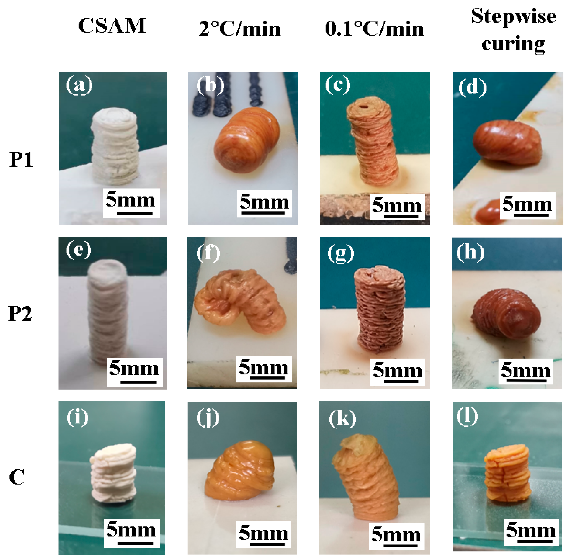 Polymers 16 02416 g008