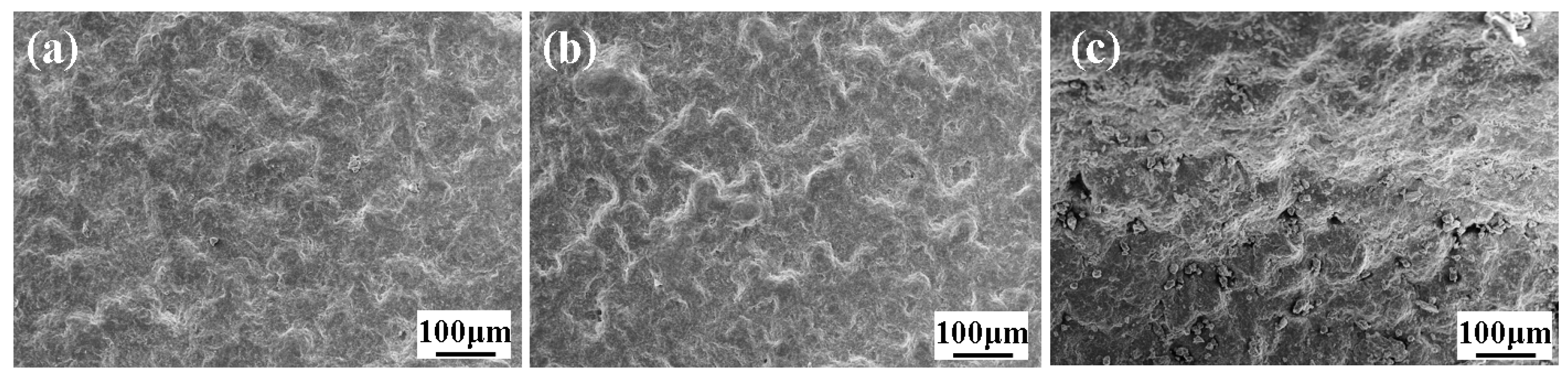 Polymers 16 02416 g009