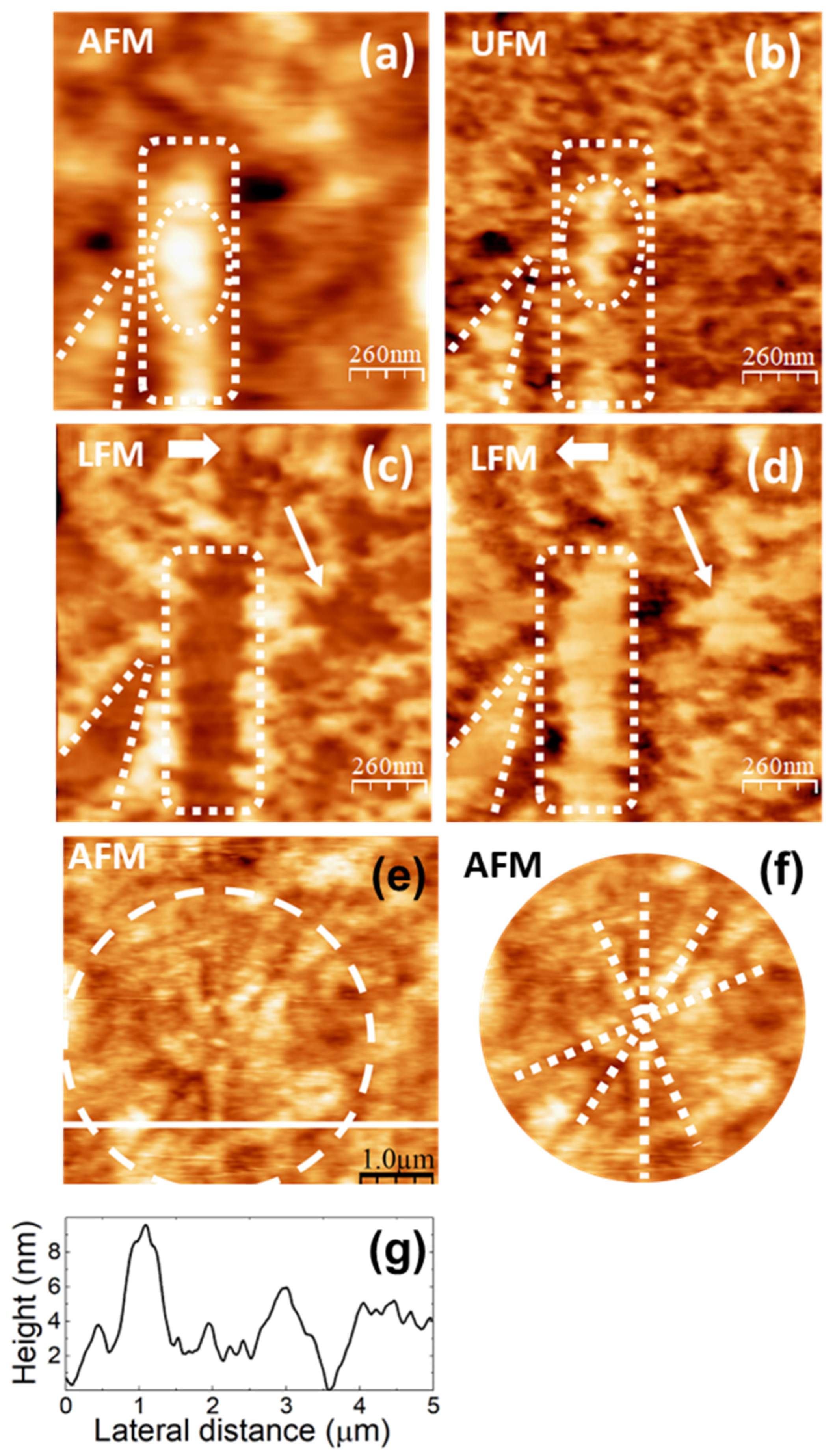 Polymers 16 02421 g005