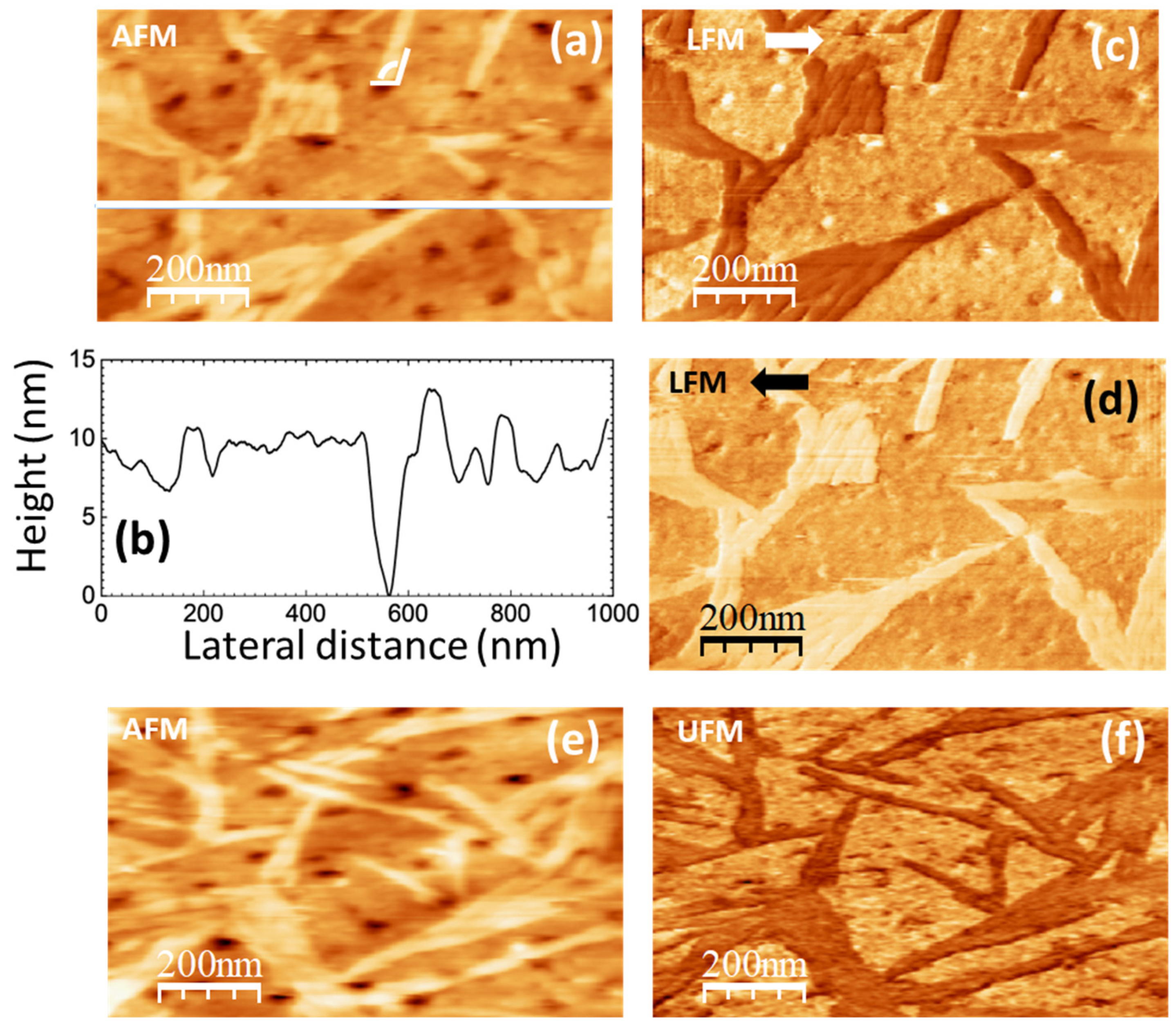 Polymers 16 02421 g006