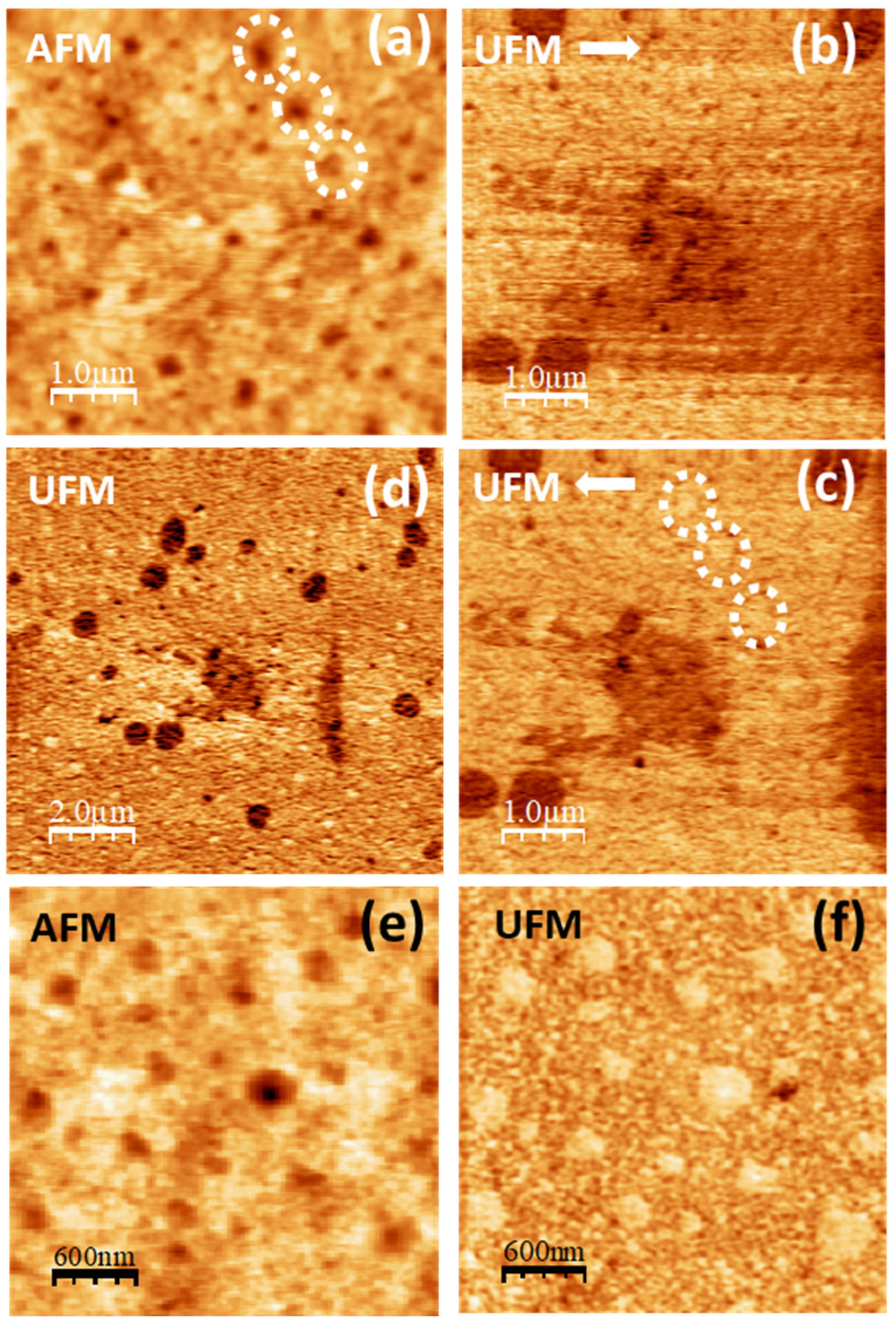 Polymers 16 02421 g008