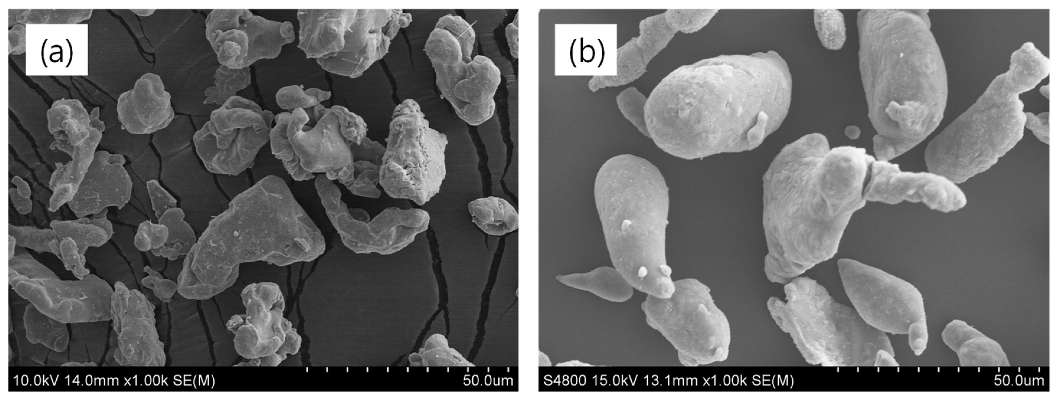 Polymers 16 02424 g001 Polymers 16 02424 g001