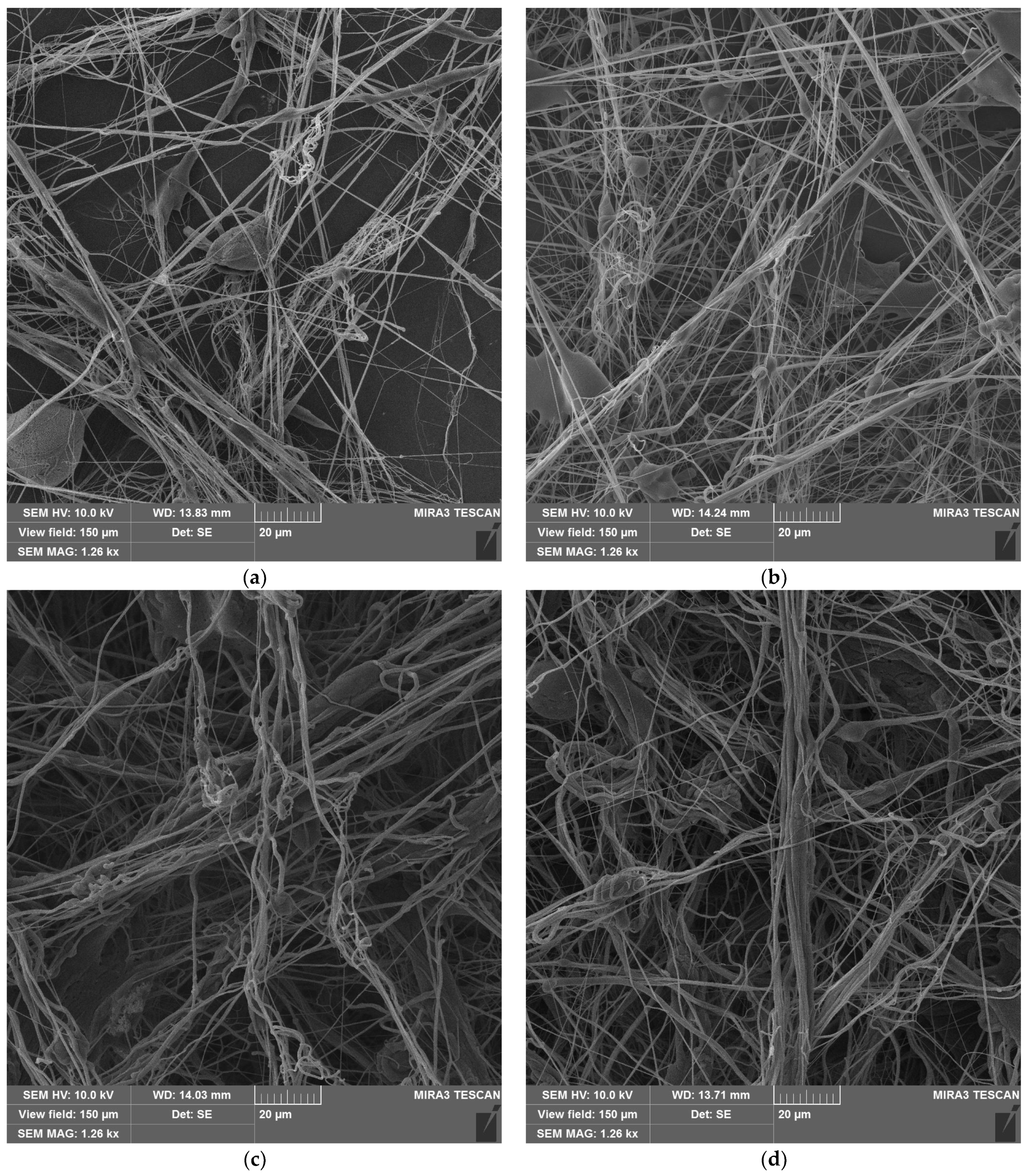 Polymers 16 02428 g004