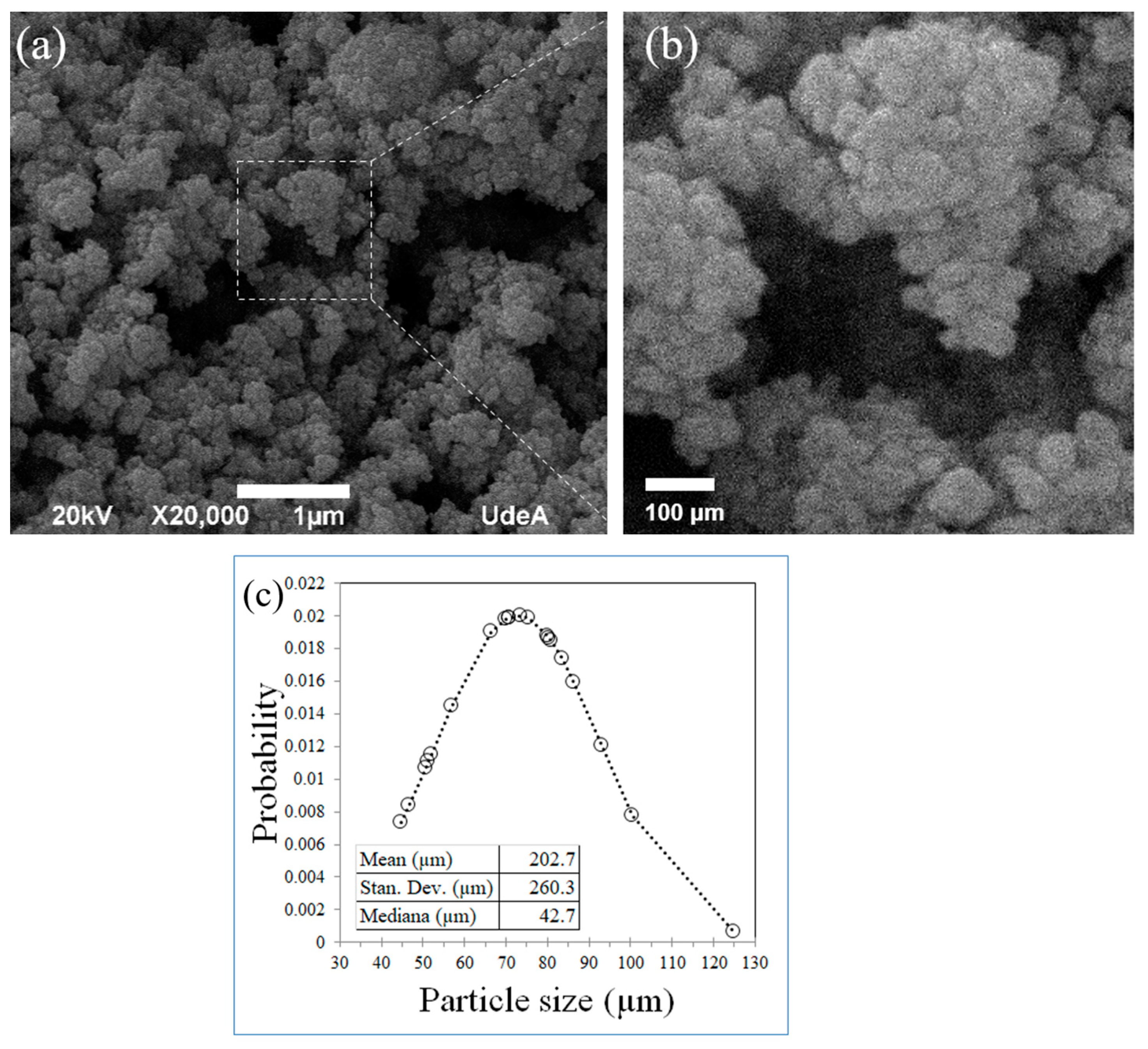 Polymers 16 02434 g004