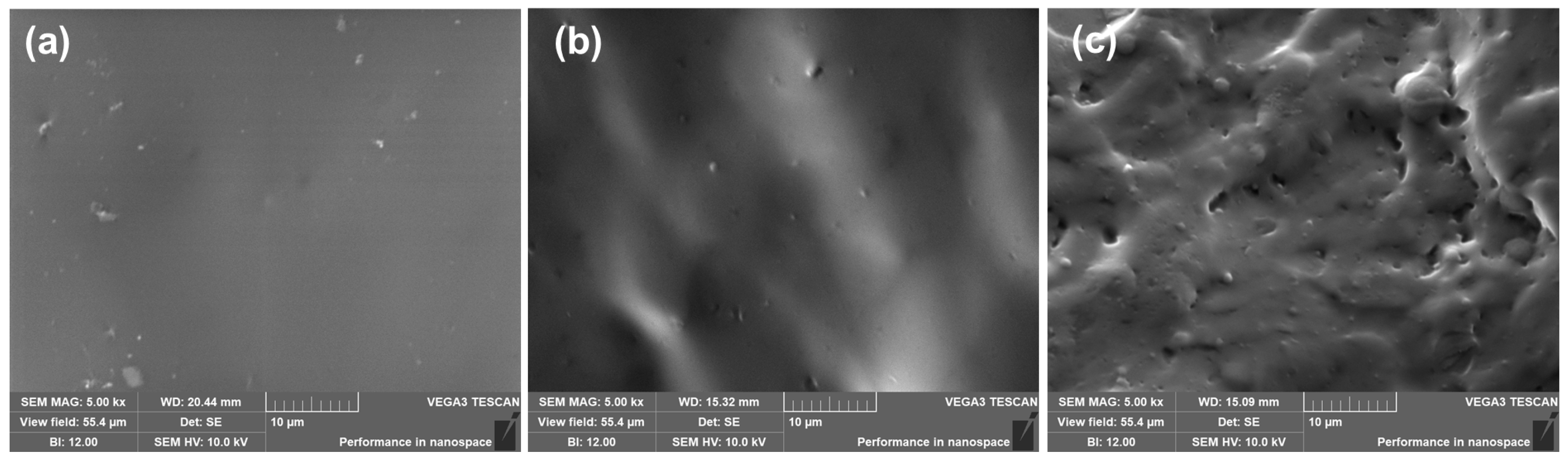 Polymers 16 02438 g005