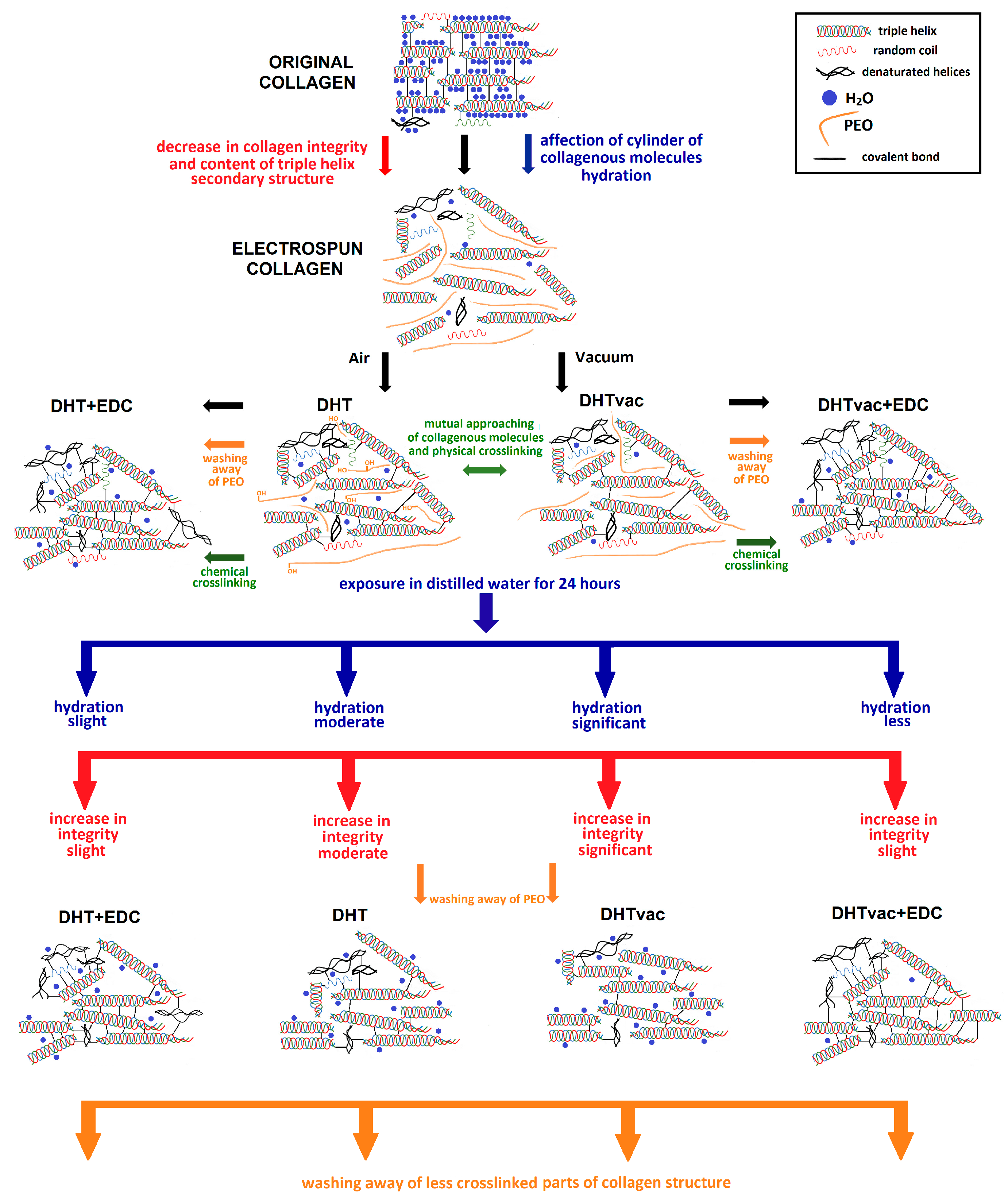 Polymers 16 02453 g009