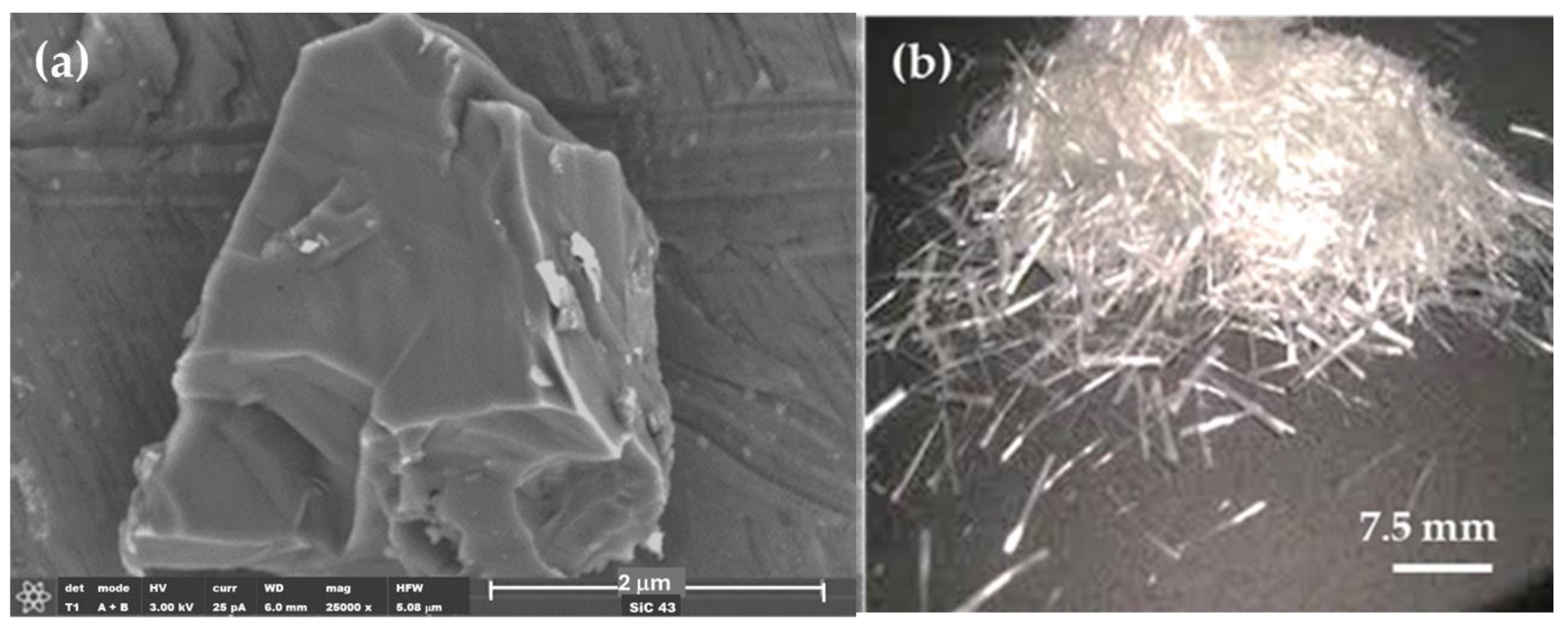 Polymers 16 02454 g001