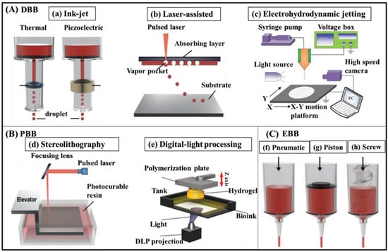 Polymers 16 02456 g002