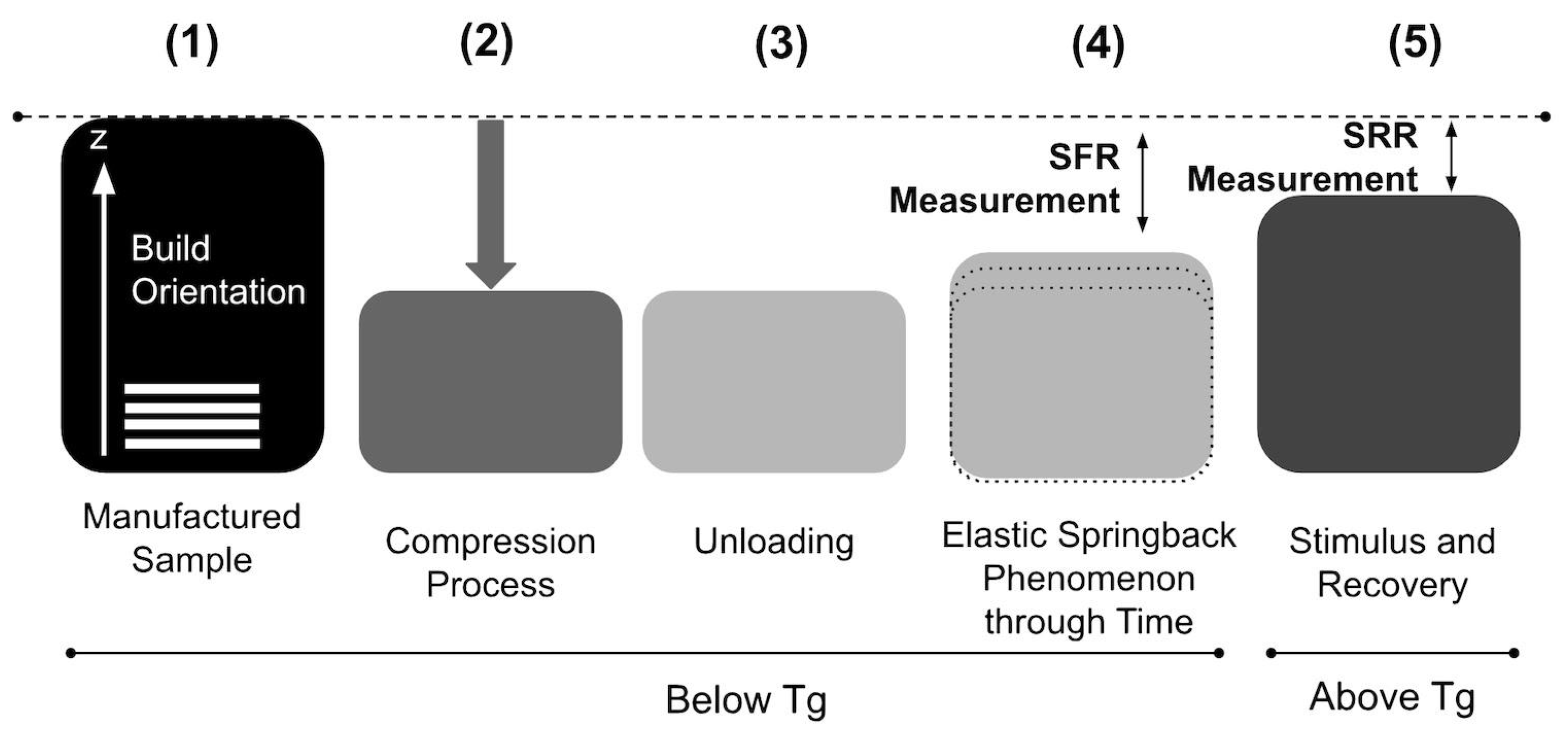 Polymers 16 02460 g003