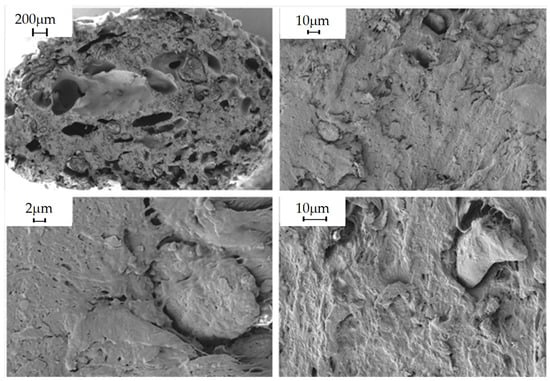 Polymers 16 02462 g004