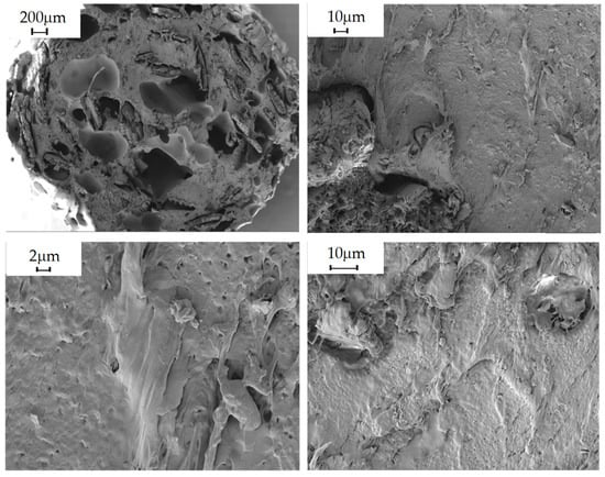Polymers 16 02462 g005