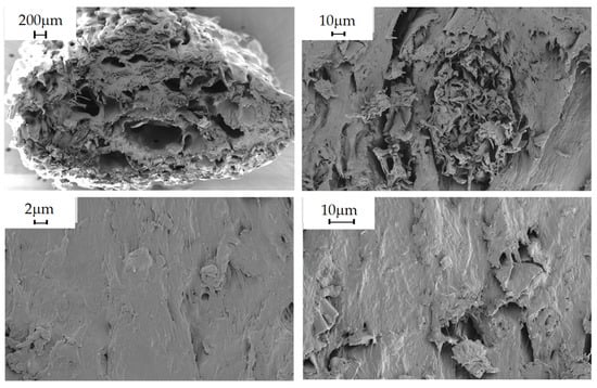 Polymers 16 02462 g006