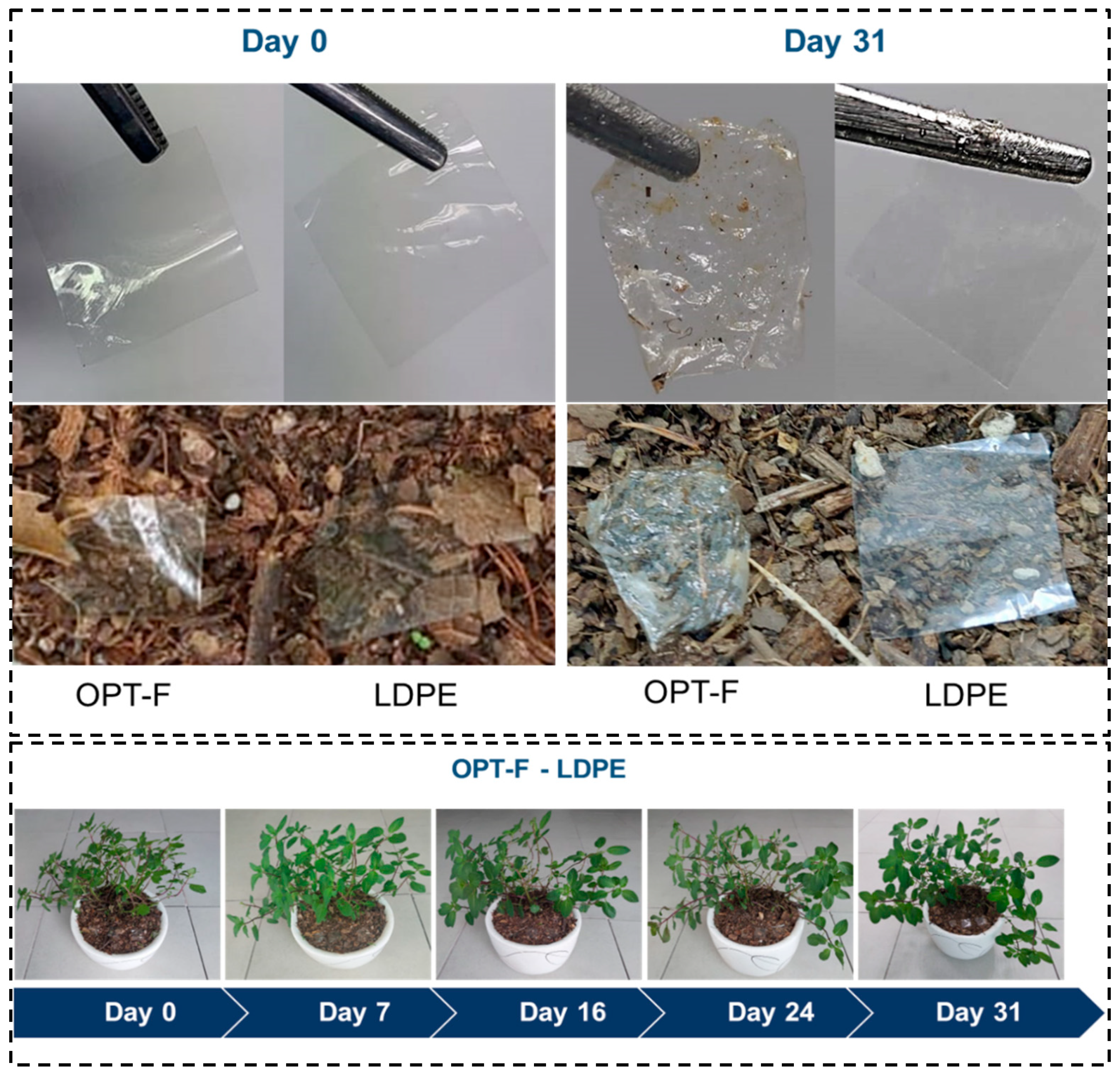 Polymers 16 02471 g006