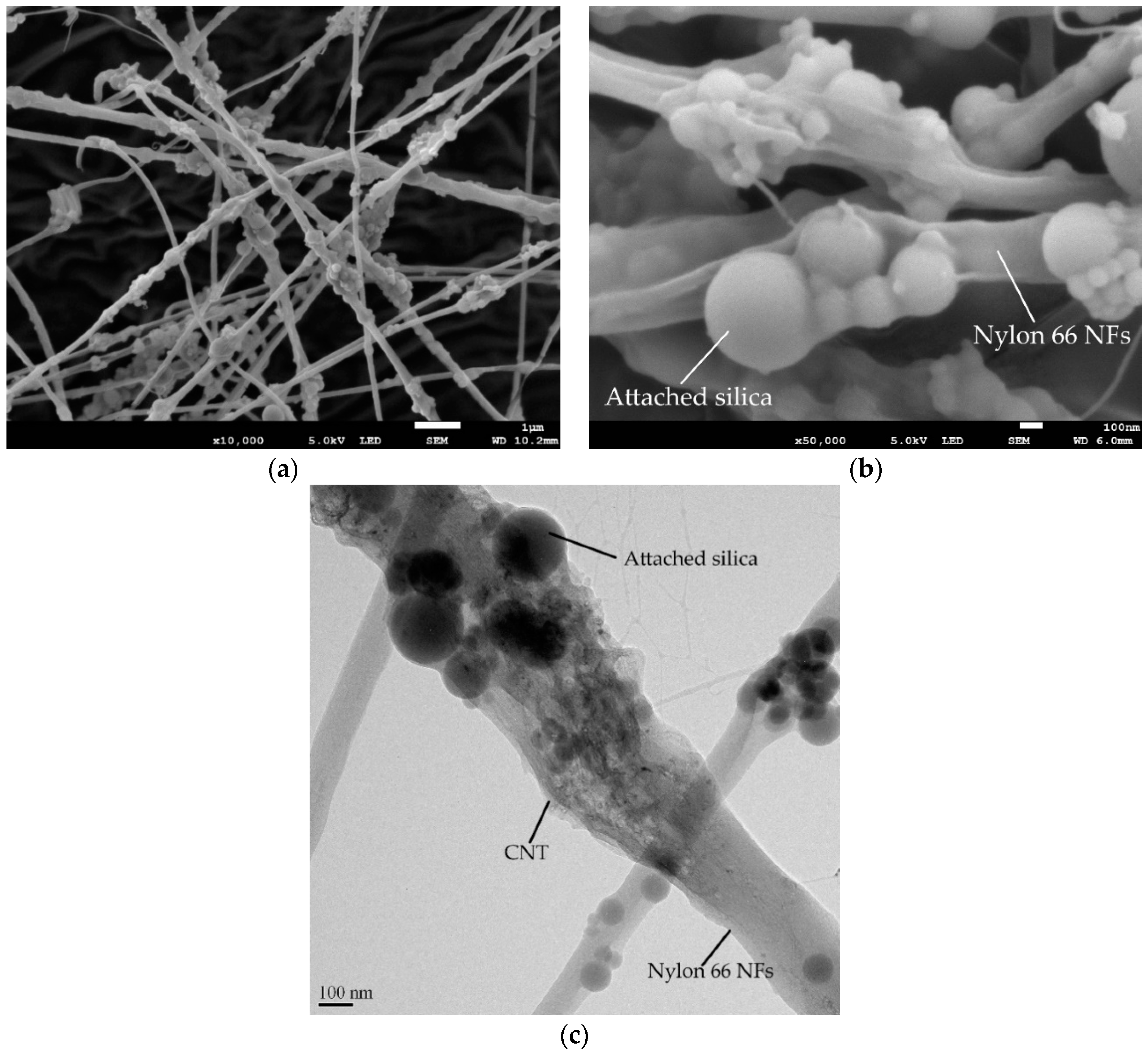 Polymers 16 02475 g005