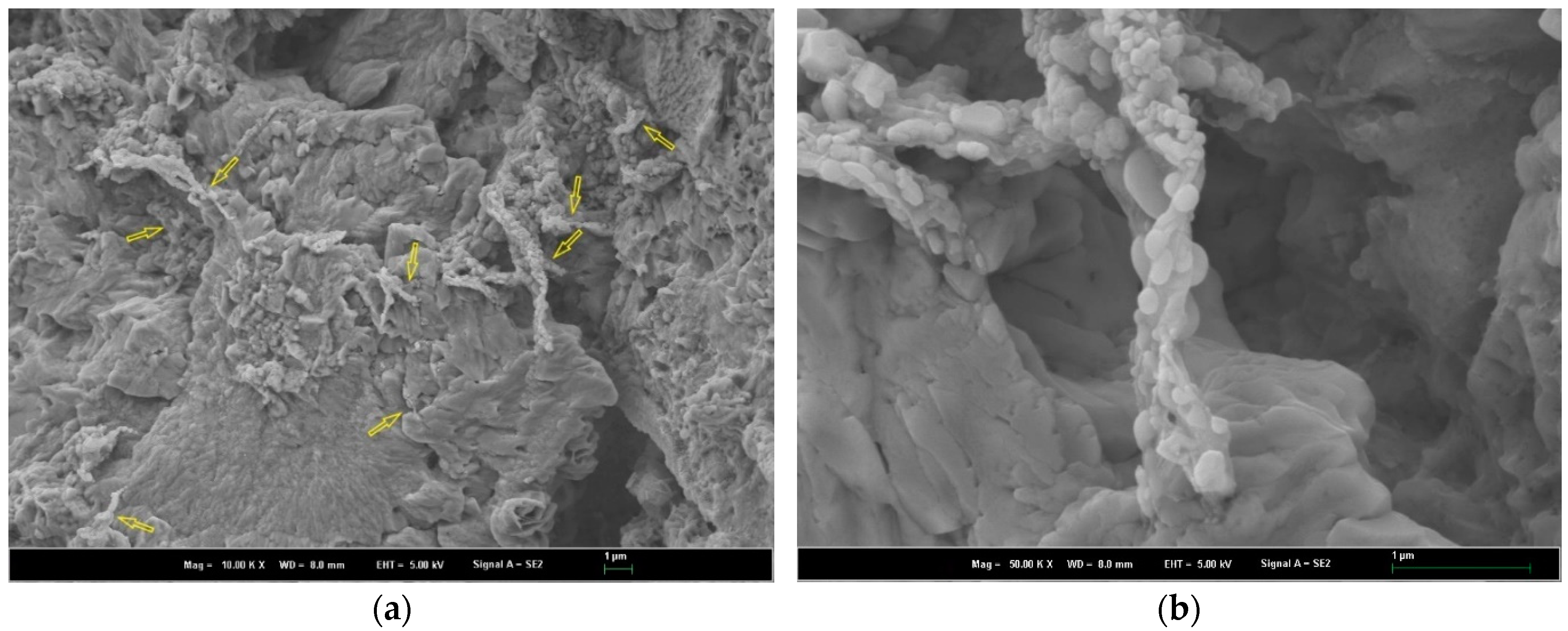Polymers 16 02475 g006