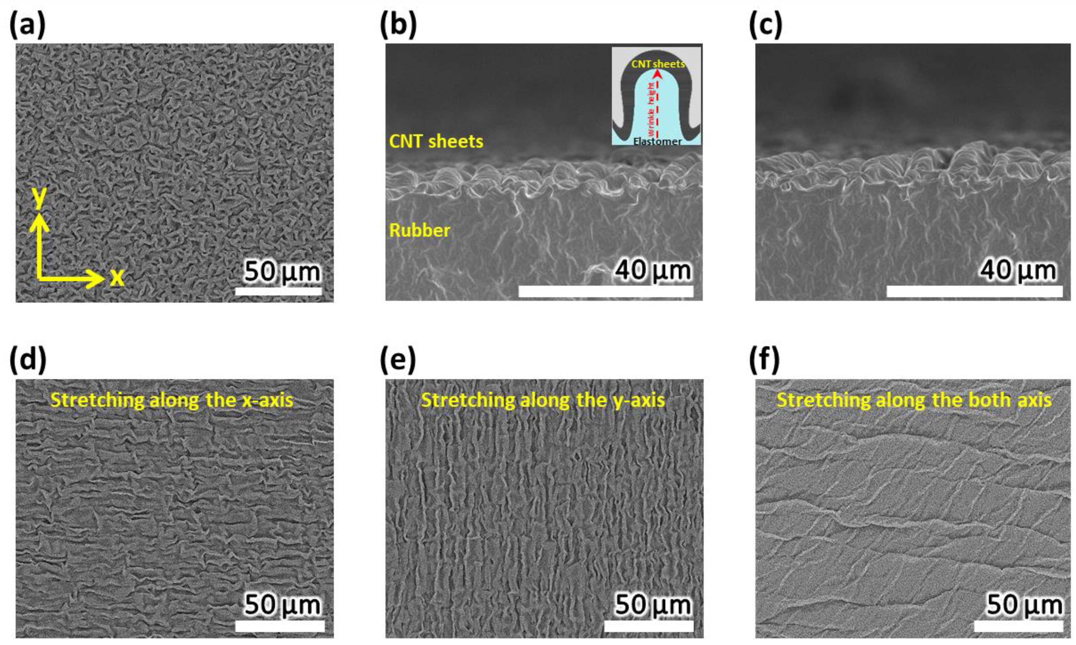 Polymers 16 02477 g003