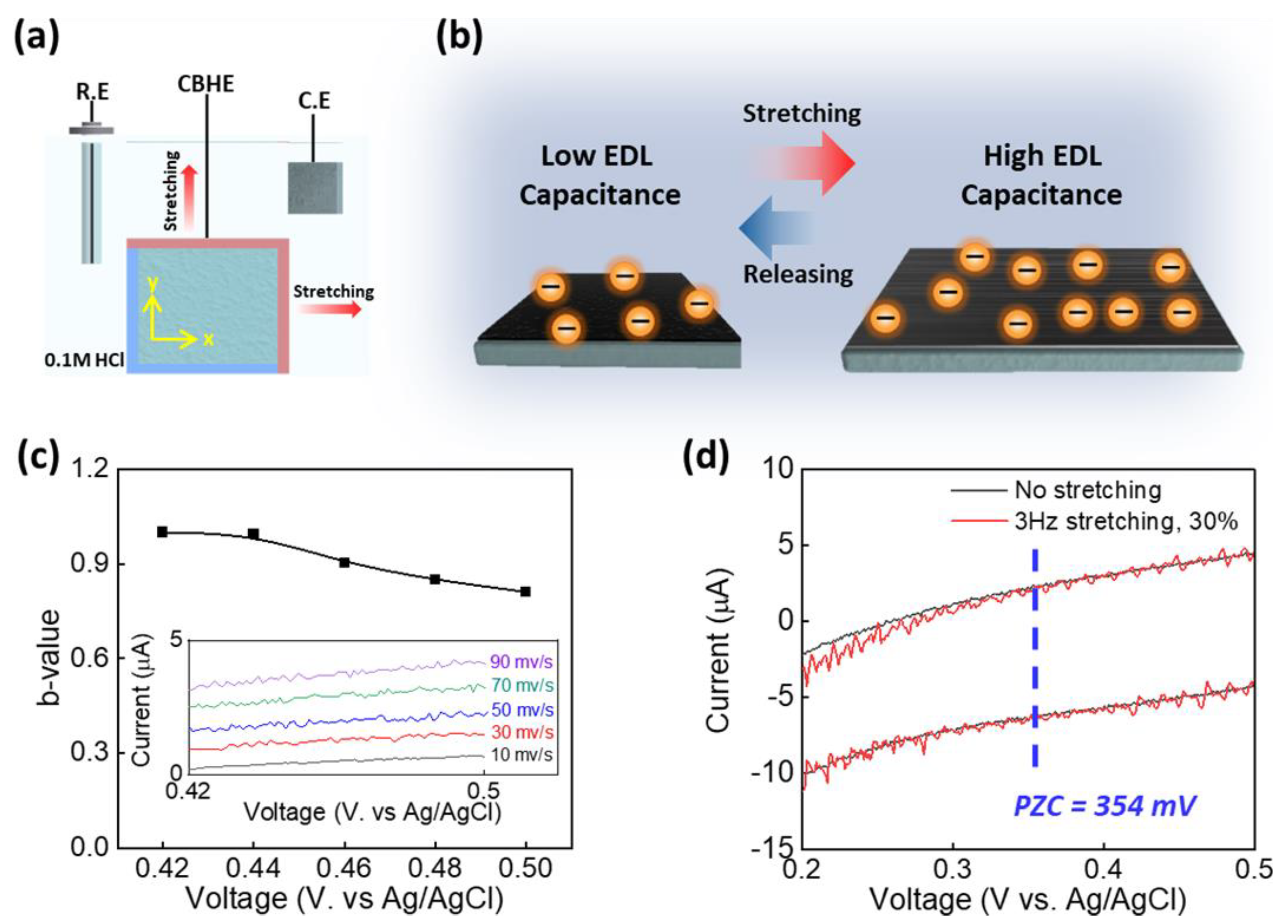 Polymers 16 02477 g004