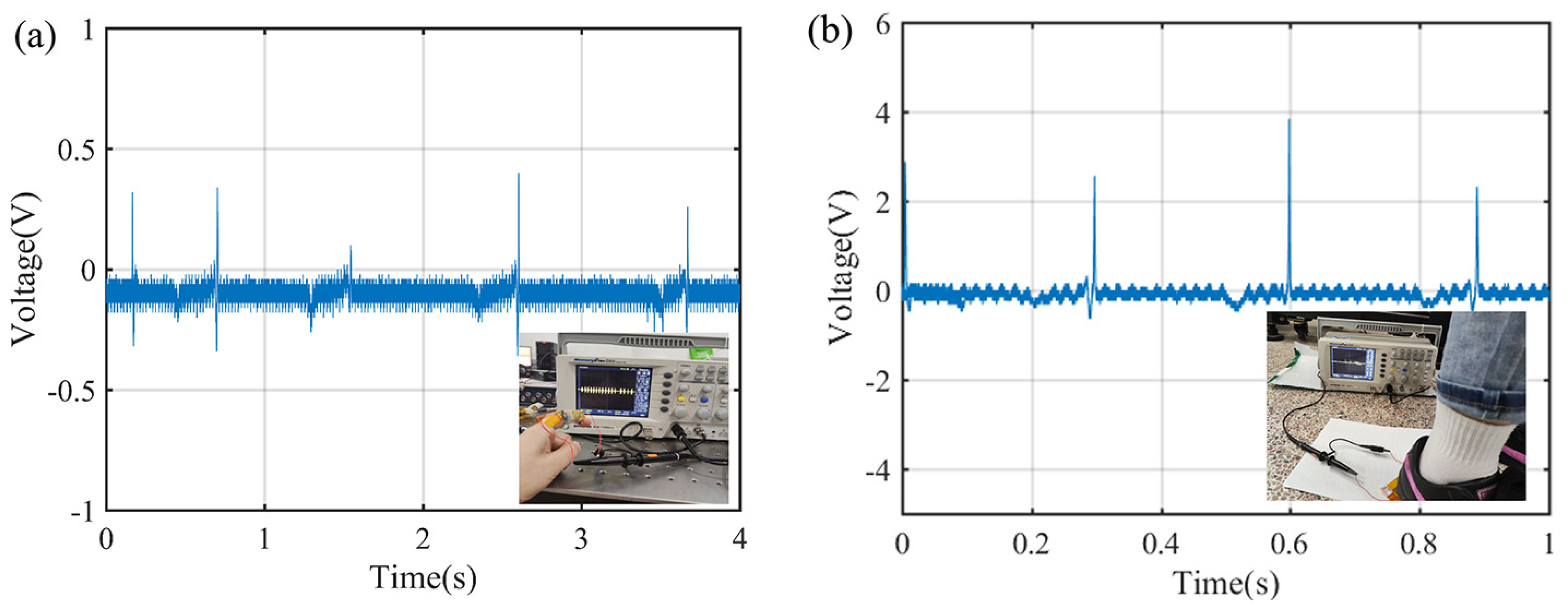 Polymers 16 02483 g011