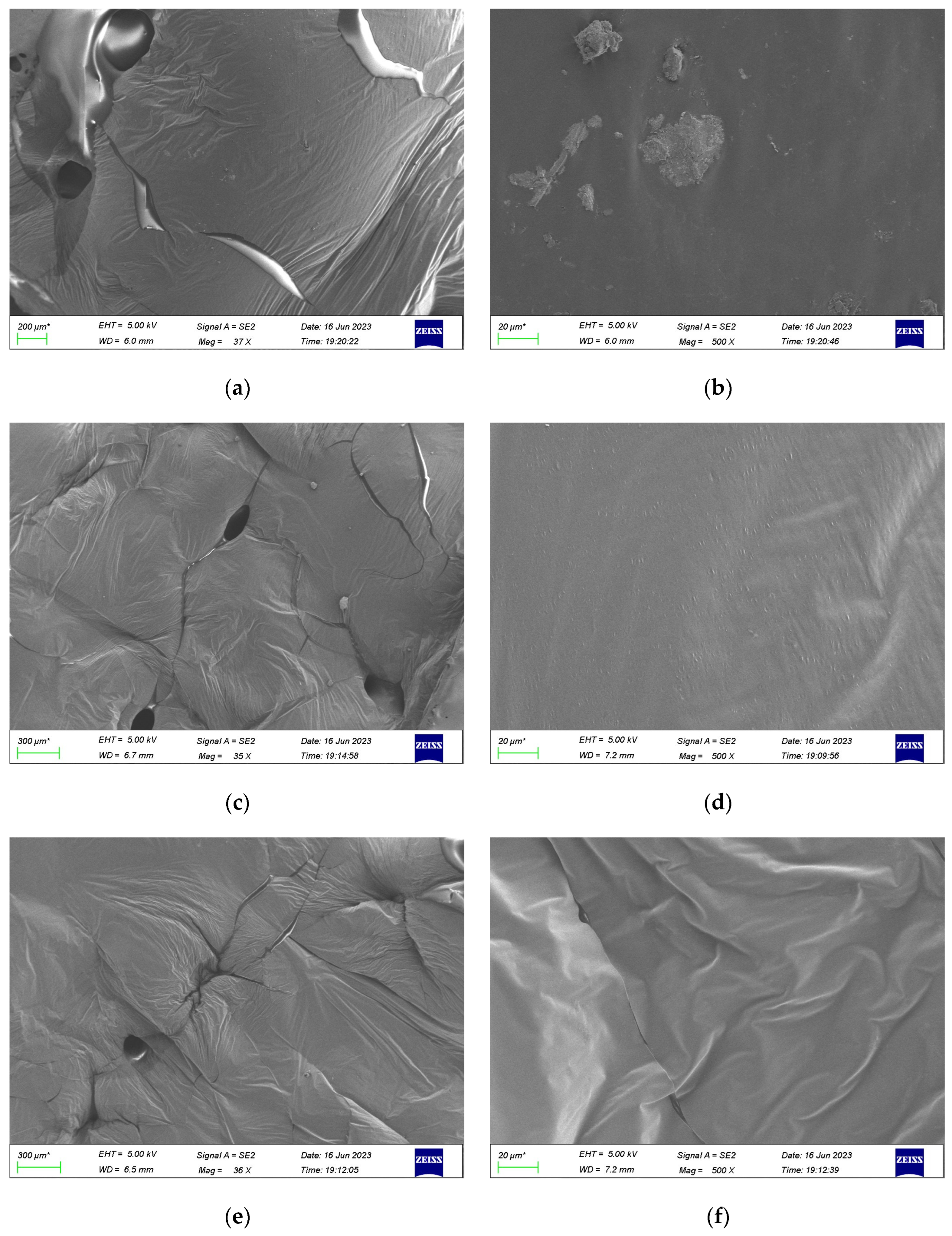 Polymers 16 02484 g012a