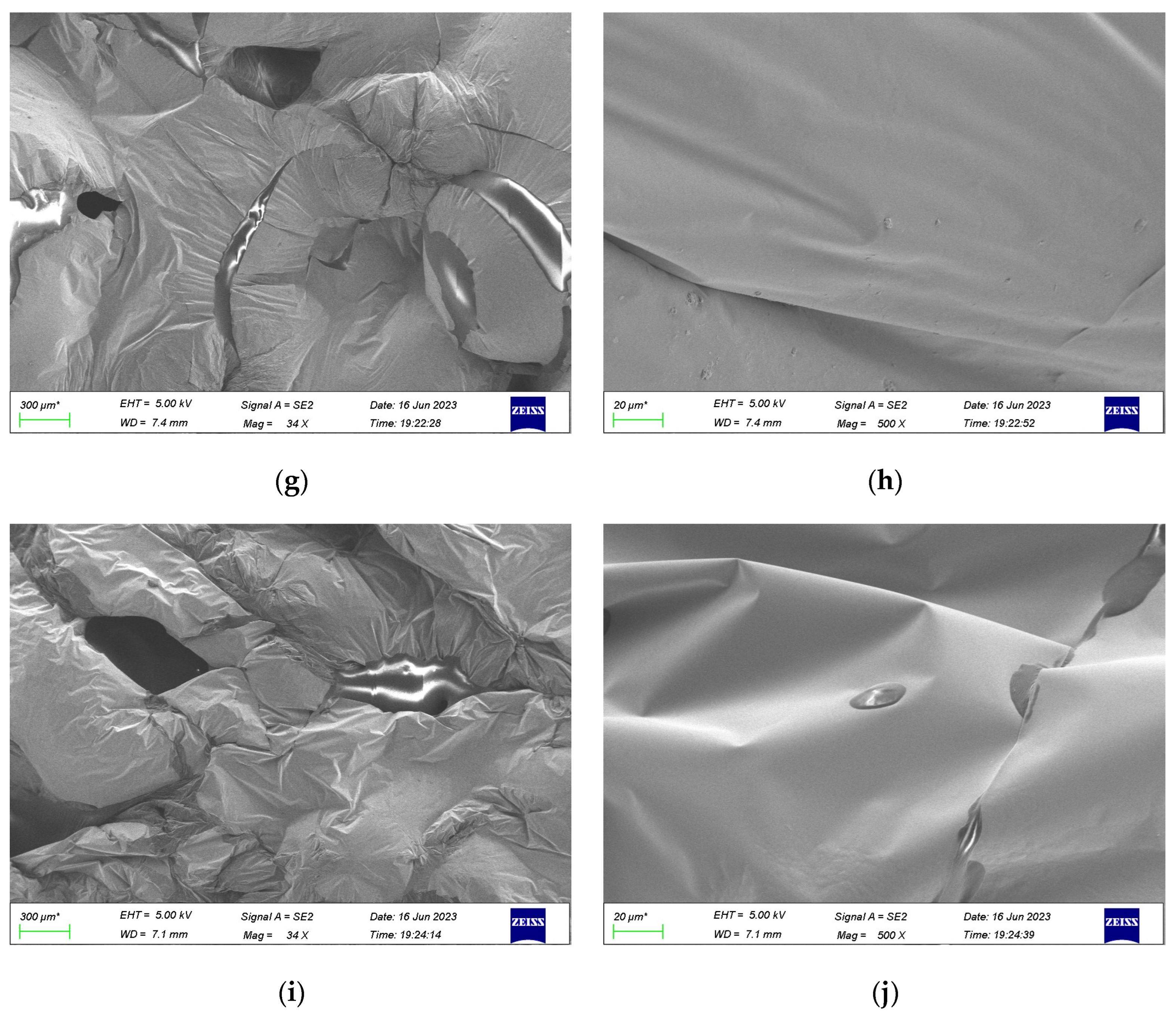 Polymers 16 02484 g012b