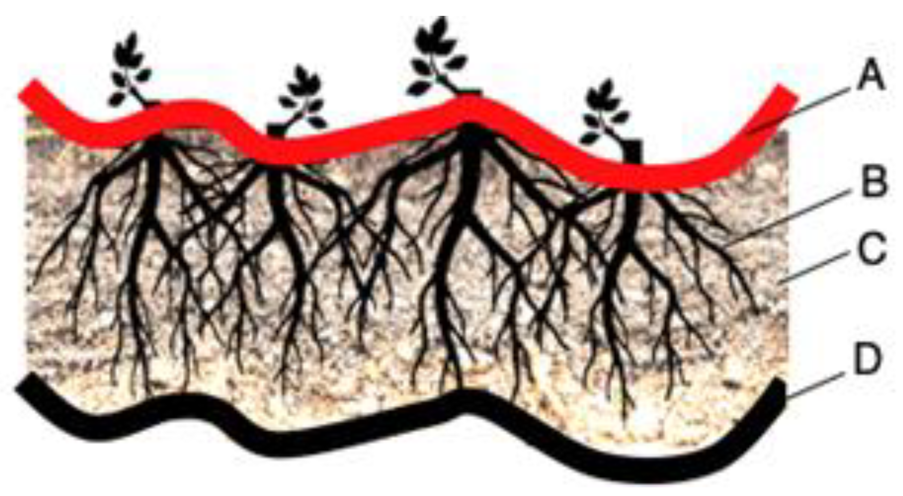 Polymers 16 02490 g006