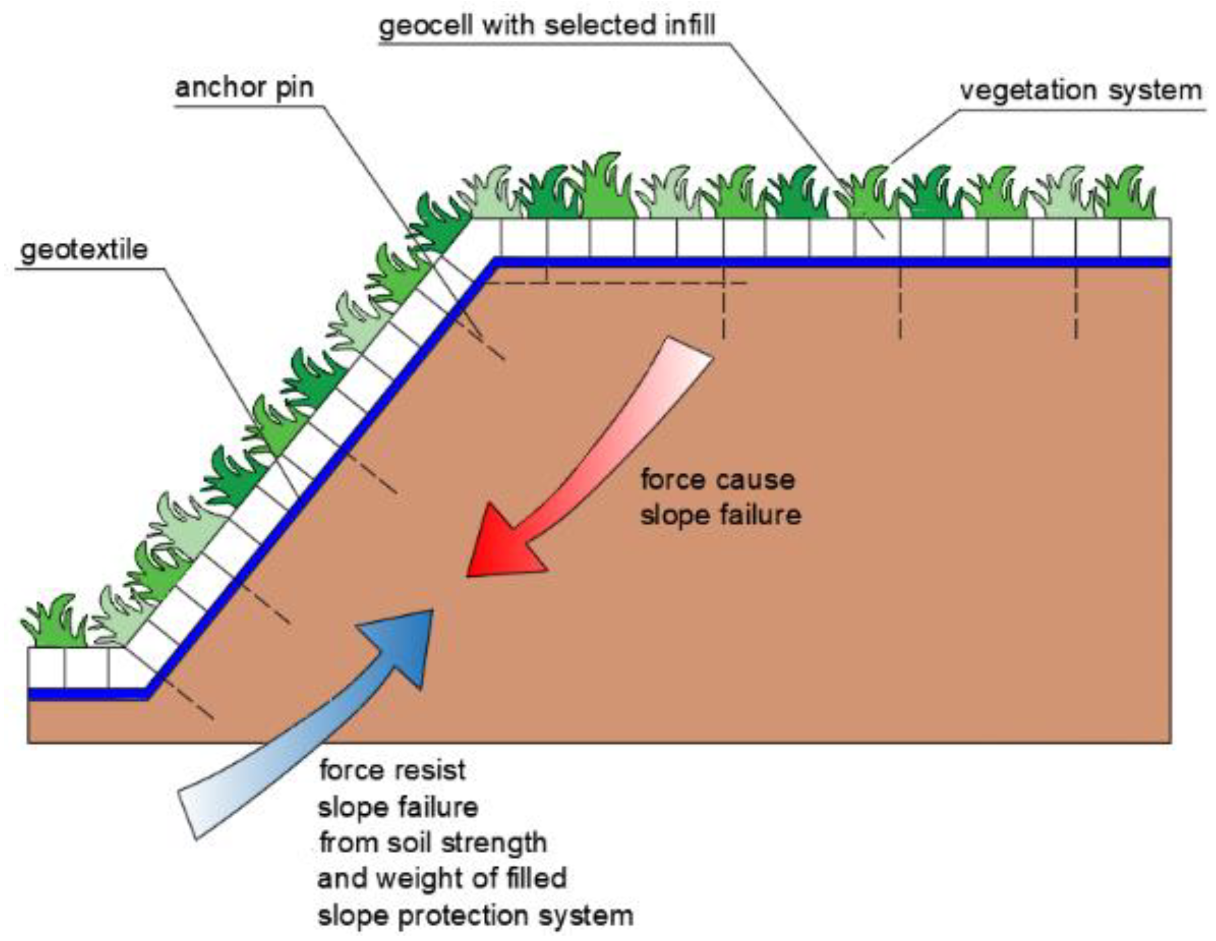 Polymers 16 02490 g009