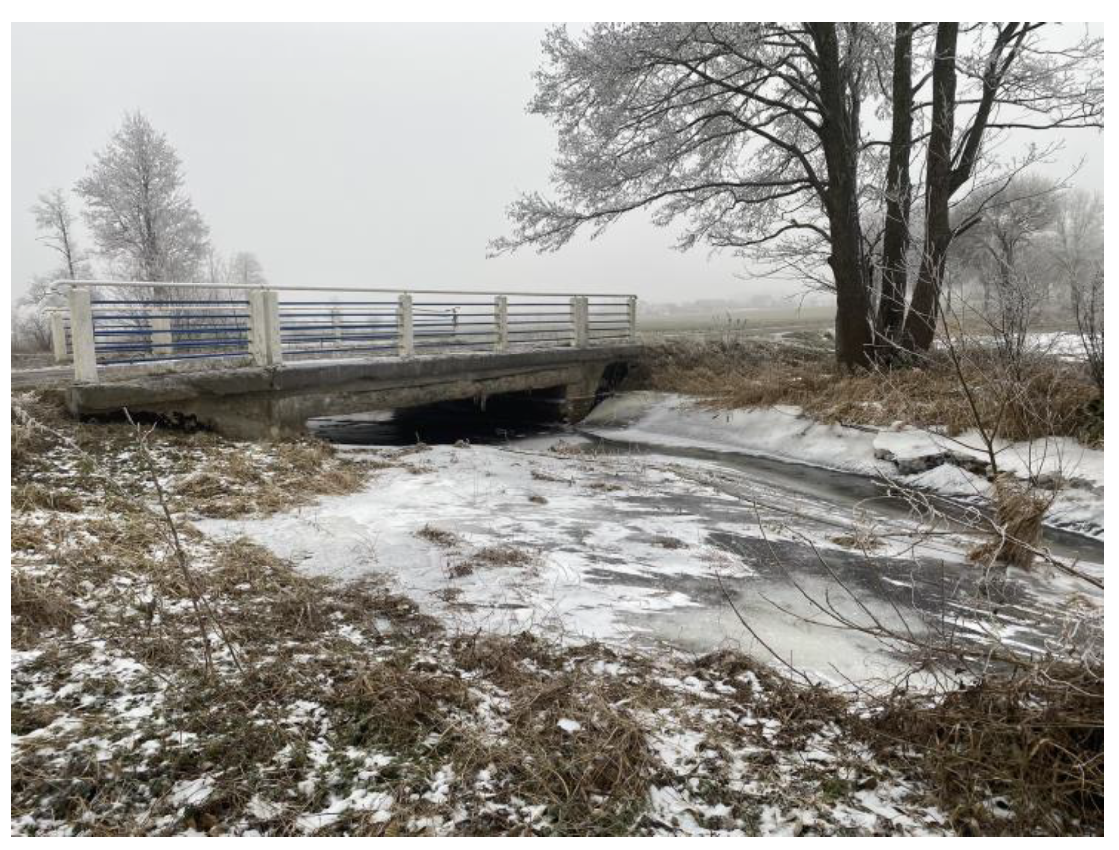 Polymers 16 02490 g014