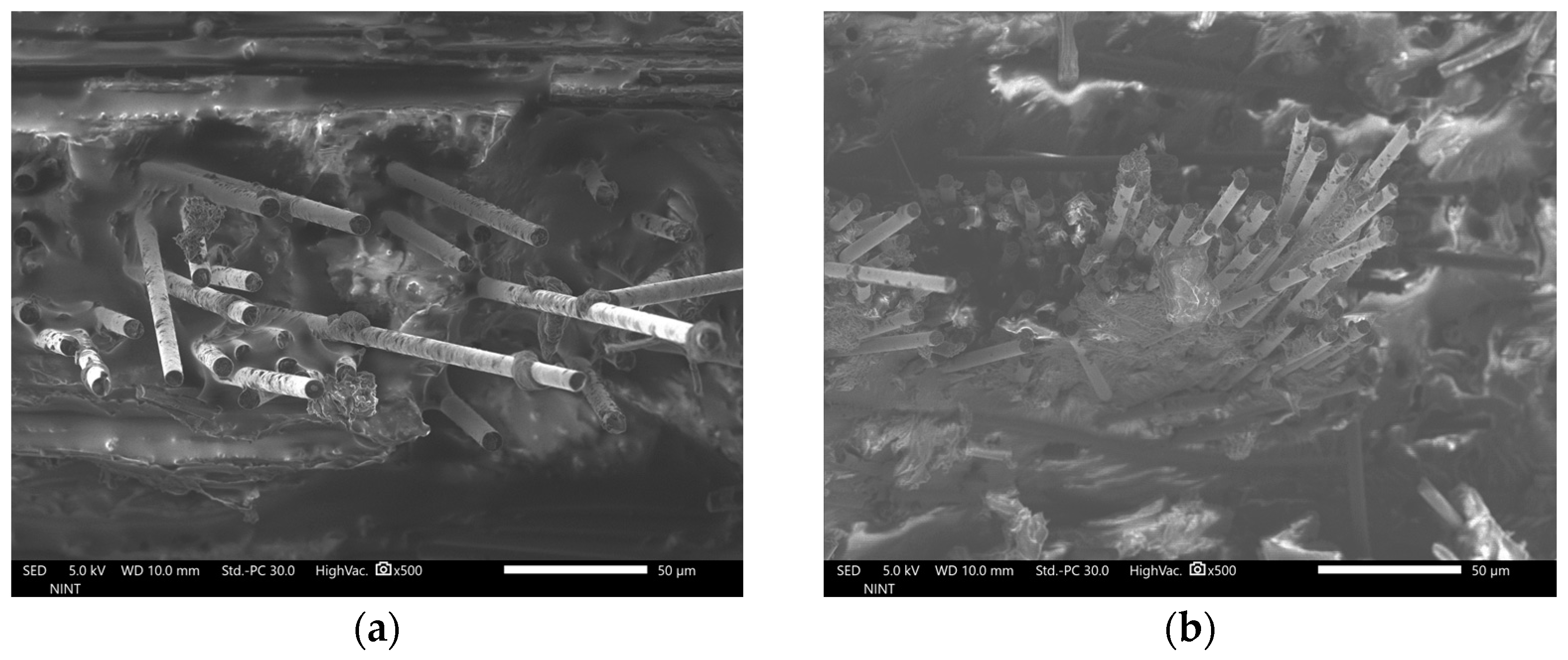 Polymers 16 02491 g003a