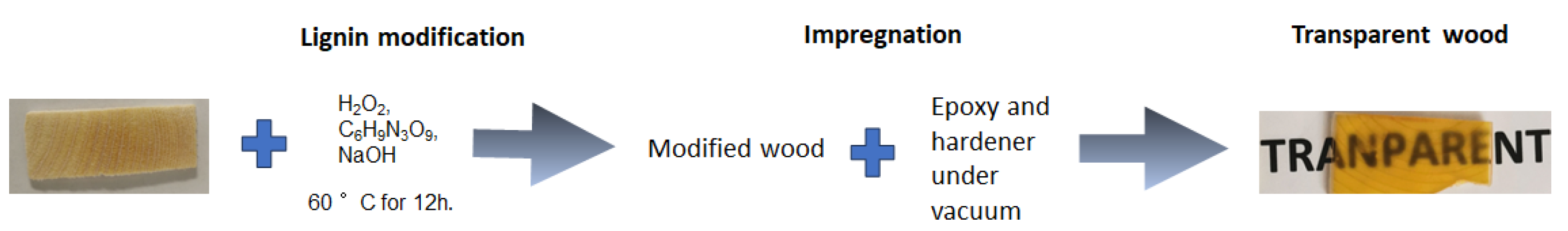 Polymers 16 02493 g001