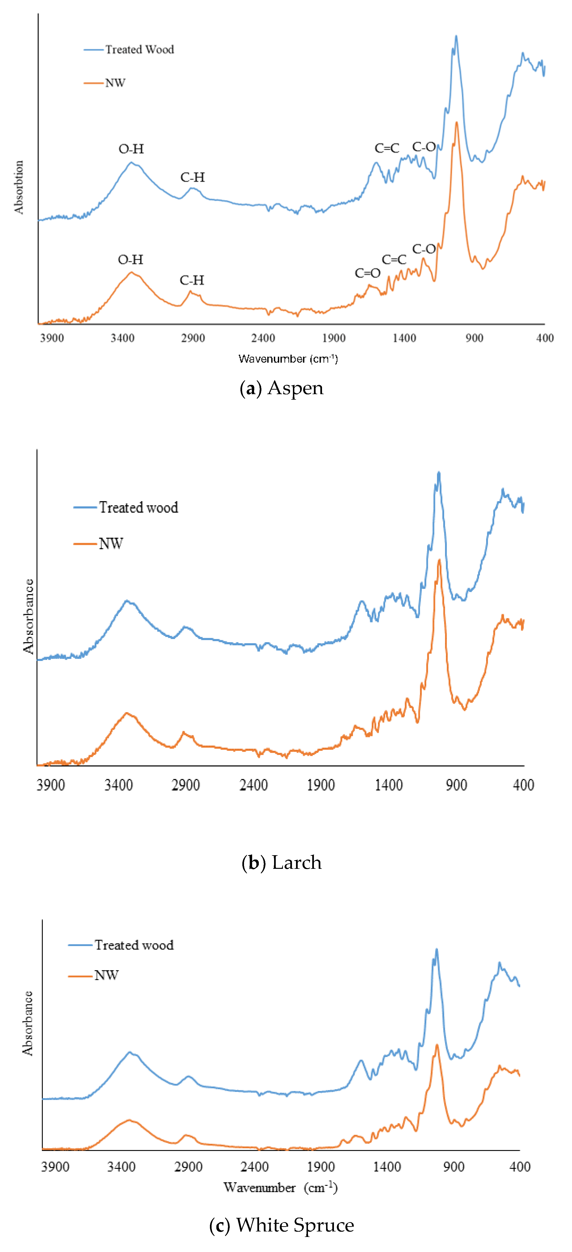 Polymers 16 02493 g002