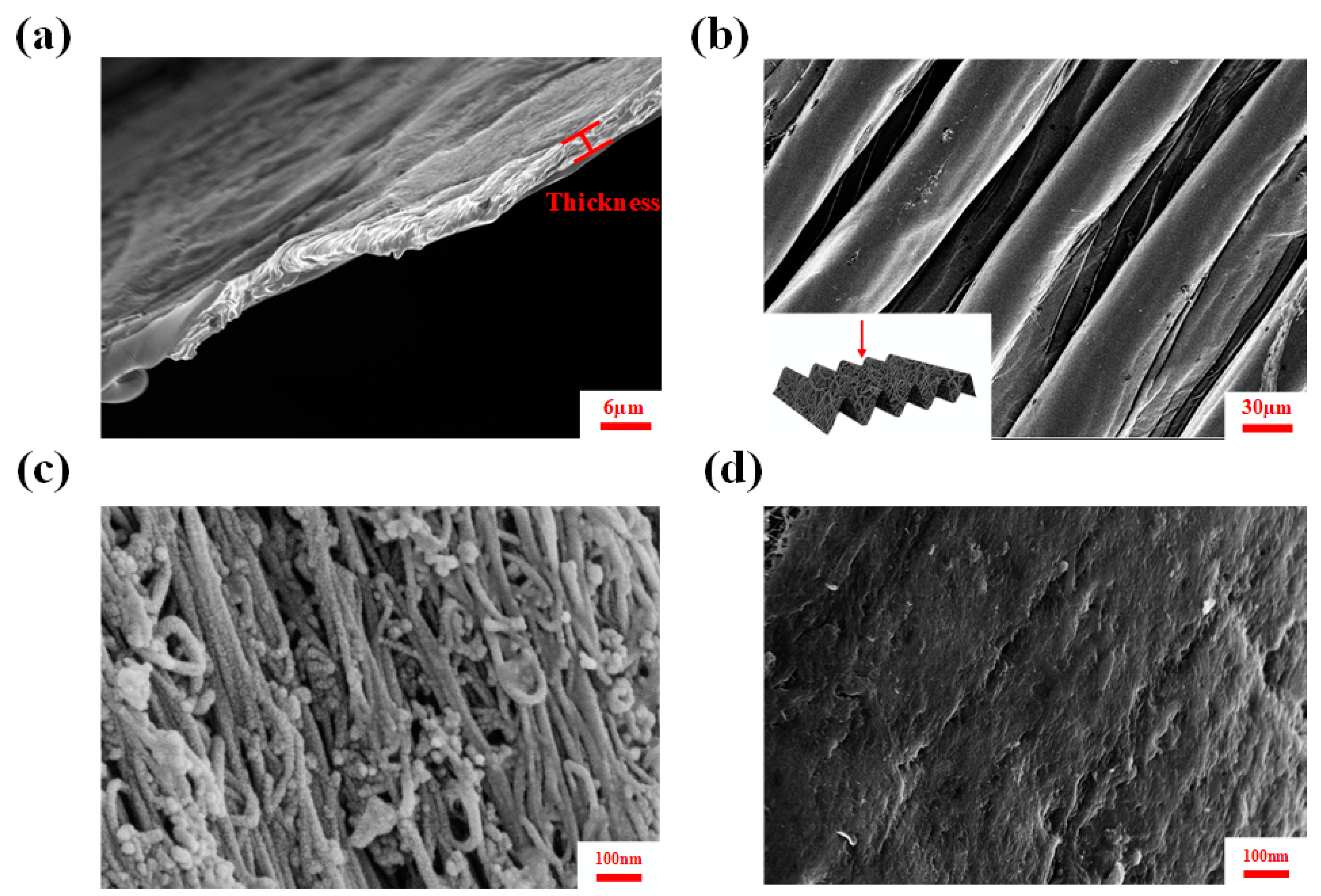 Polymers 16 02496 g002