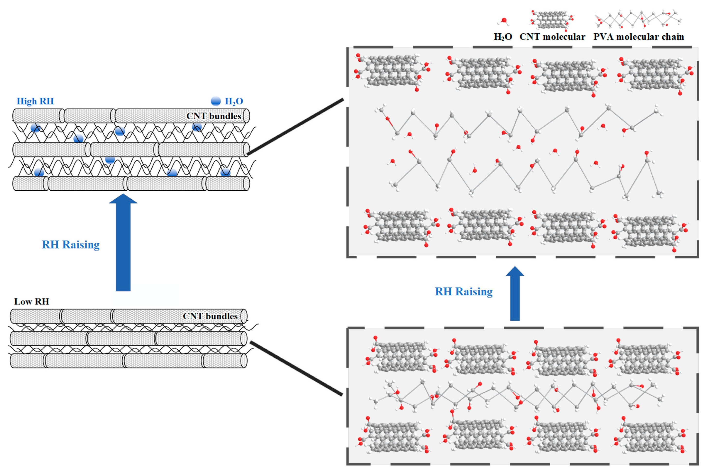 Polymers 16 02496 g005