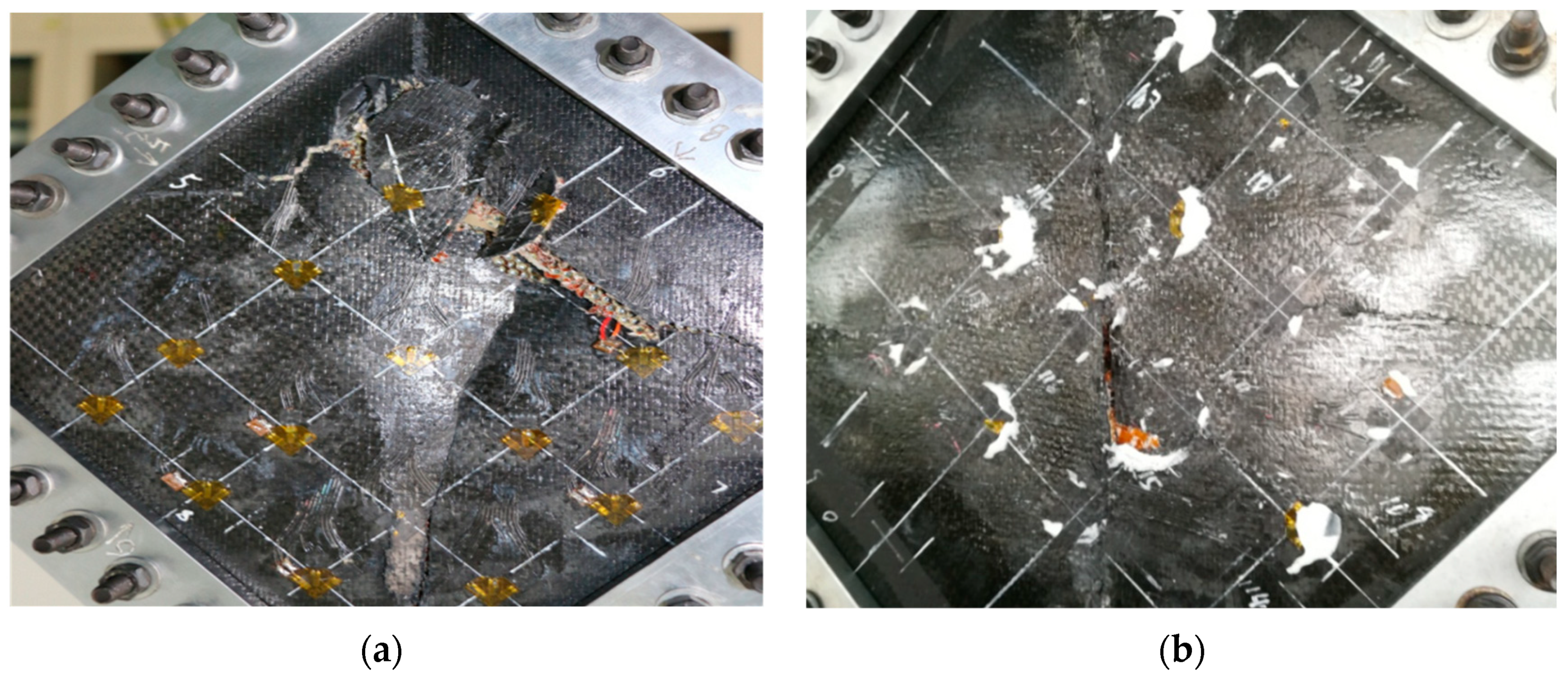 Polymers 16 02497 g012